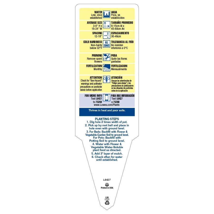 slide 4 of 4, Lowe's Multicolor Purslane in 1-Quart Pot, 1 ct