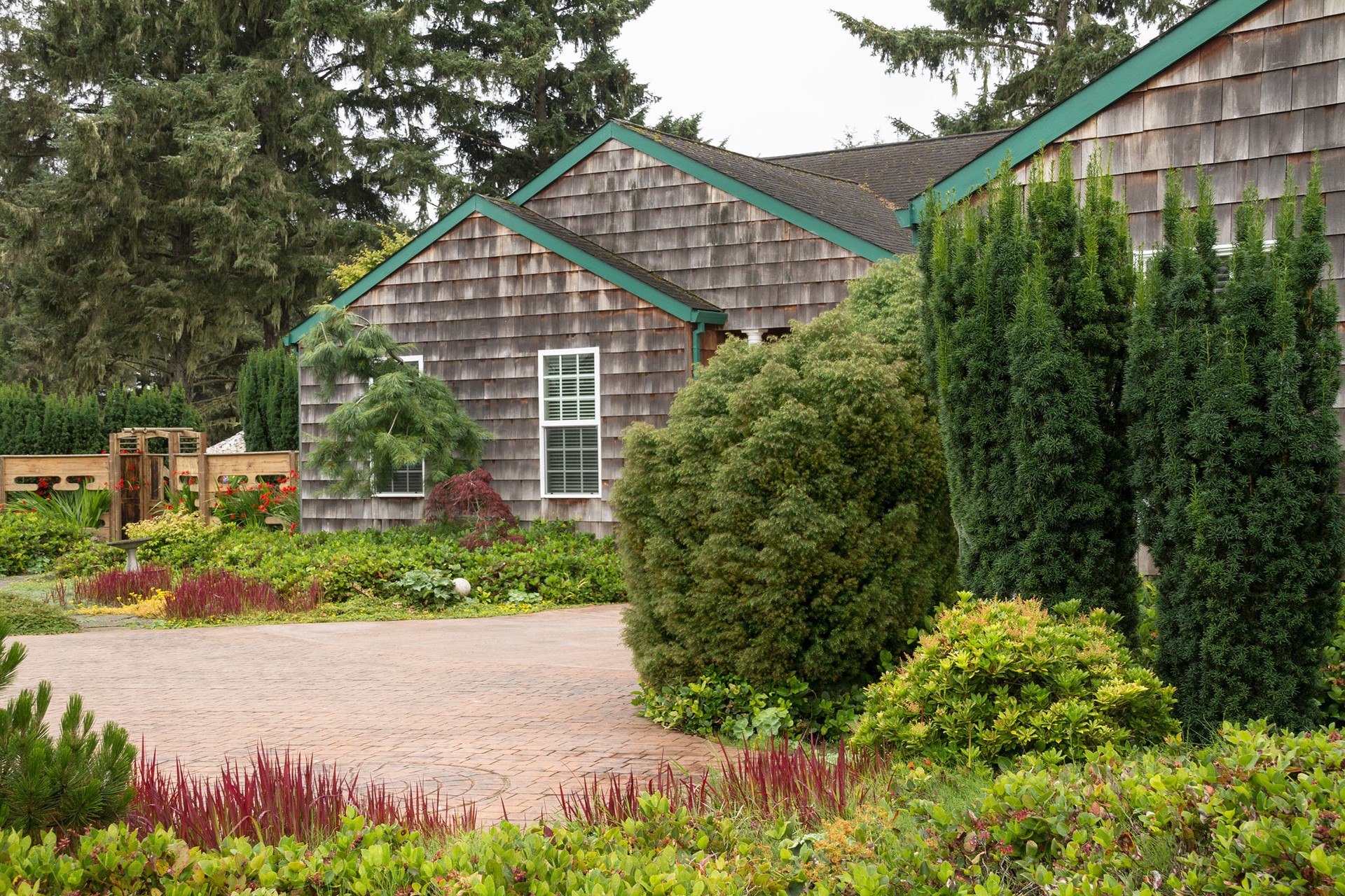 slide 4 of 4, Monrovia Hick's Yew Screening Shrub in 1.73 -Gallon Pot 1.0 -Pack, 1 ct