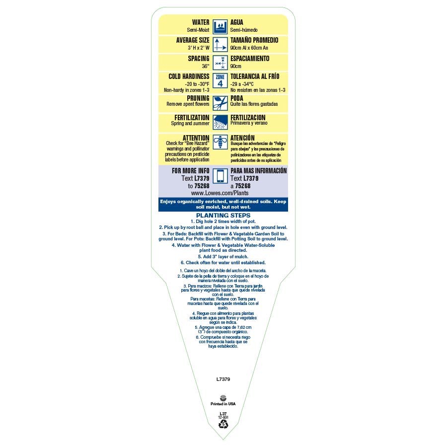 slide 3 of 3, Lowe's Multicolor Bee Balm Plant in -Gallon Pot, 1 ct