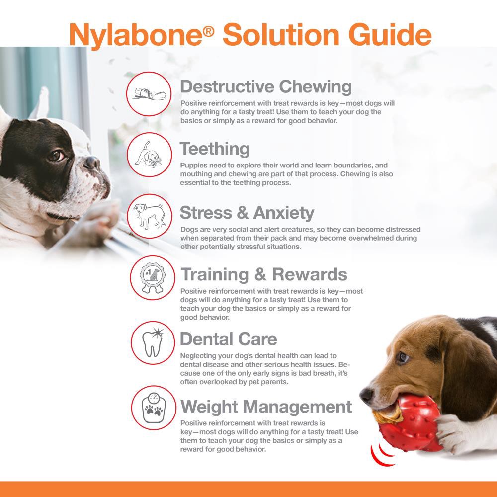 slide 6 of 6, Nylabone Power Chew Original Flavor Nylon Chew Dog Toy, 1 ct