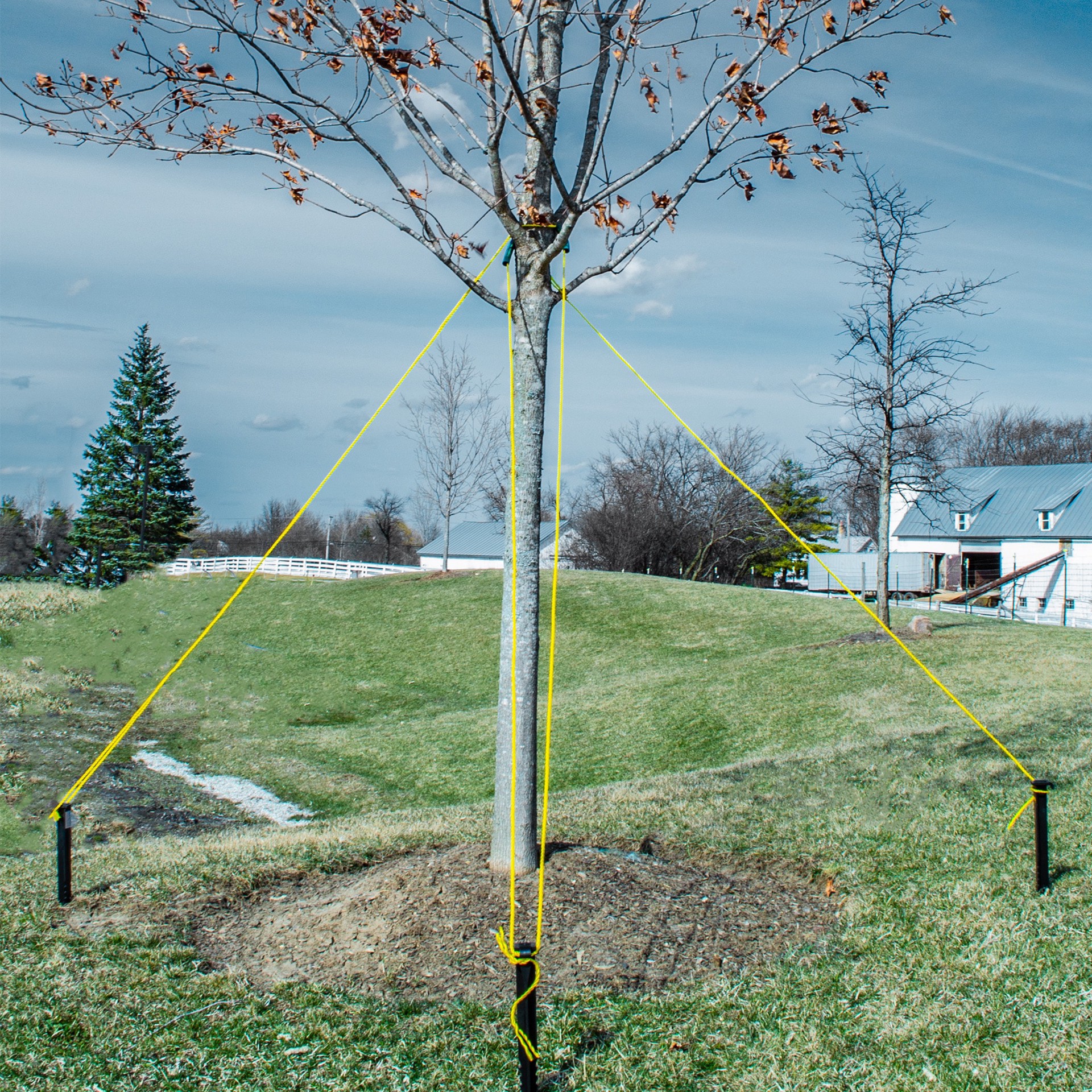 slide 2 of 6, Gardener's Blue Ribbon 9-in Plastic Tree Tie Kit, 1 ct