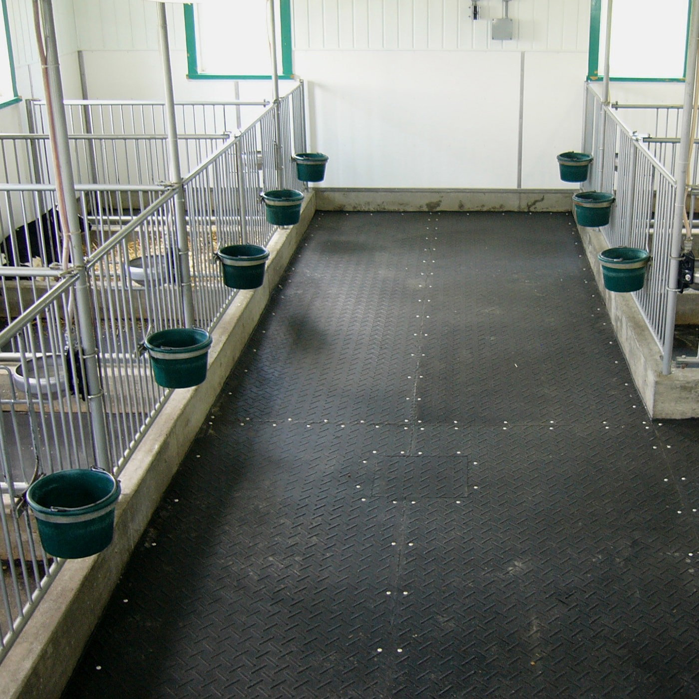 slide 5 of 6, Cobra 273-lb 1/4-in x 1-1/2-in Nail-Drive Anchors 50-Pack, 1 ct