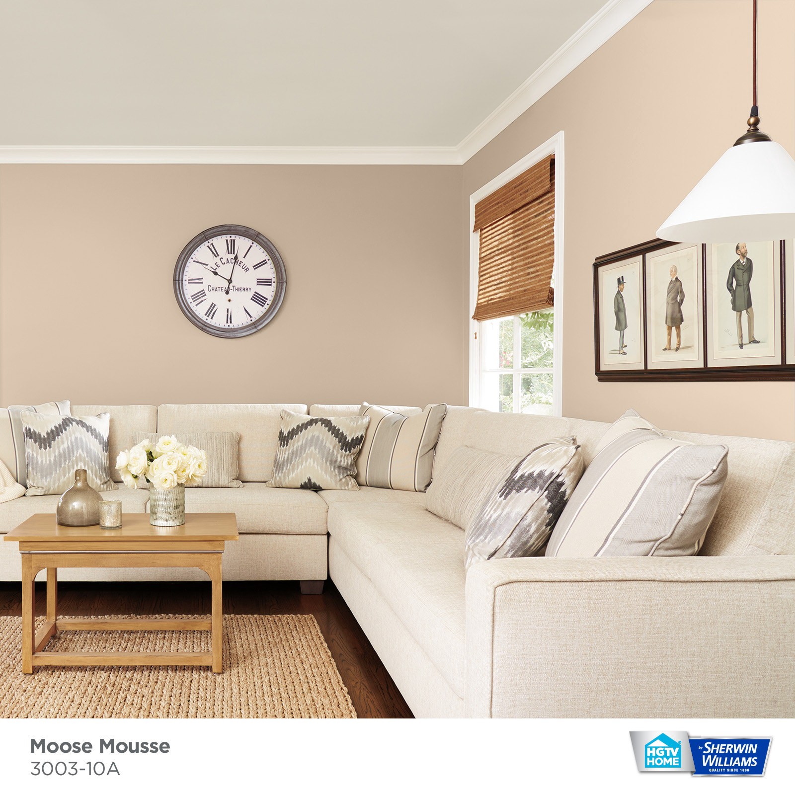 slide 3 of 6, HGTV HOME by Sherwin-Williams Showcase Flat Moose Mousse 3003-10a Acrylic Interior Paint + Primer (5-Gallon), 1 ct
