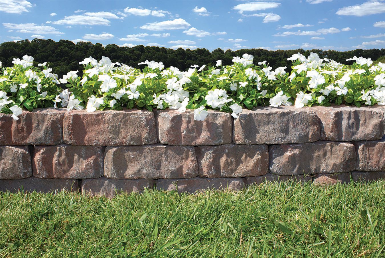 slide 4 of 6, 4-in H x 11-in L x 6-in D Sahara Sand Concrete Retaining wall block, 1 ct