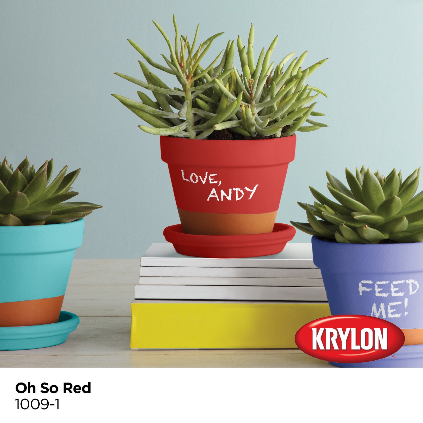 slide 2 of 6, Krylon Latex Oh So Red 1009-1 Chalkboard Paint (1-quart), 1 ct