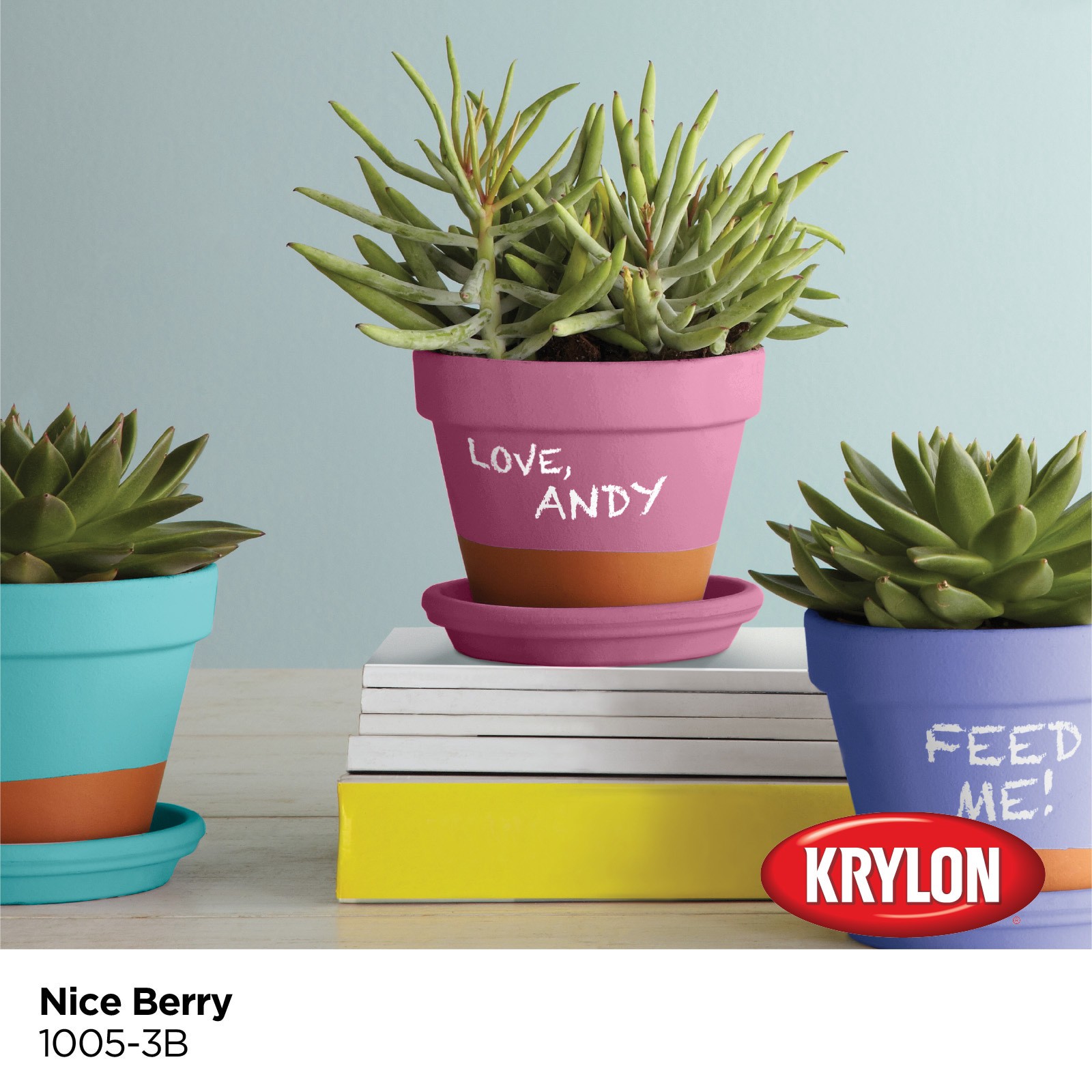 slide 2 of 6, Krylon Latex Nice Berry 1005-3B Chalkboard Paint (1-quart), 1 ct