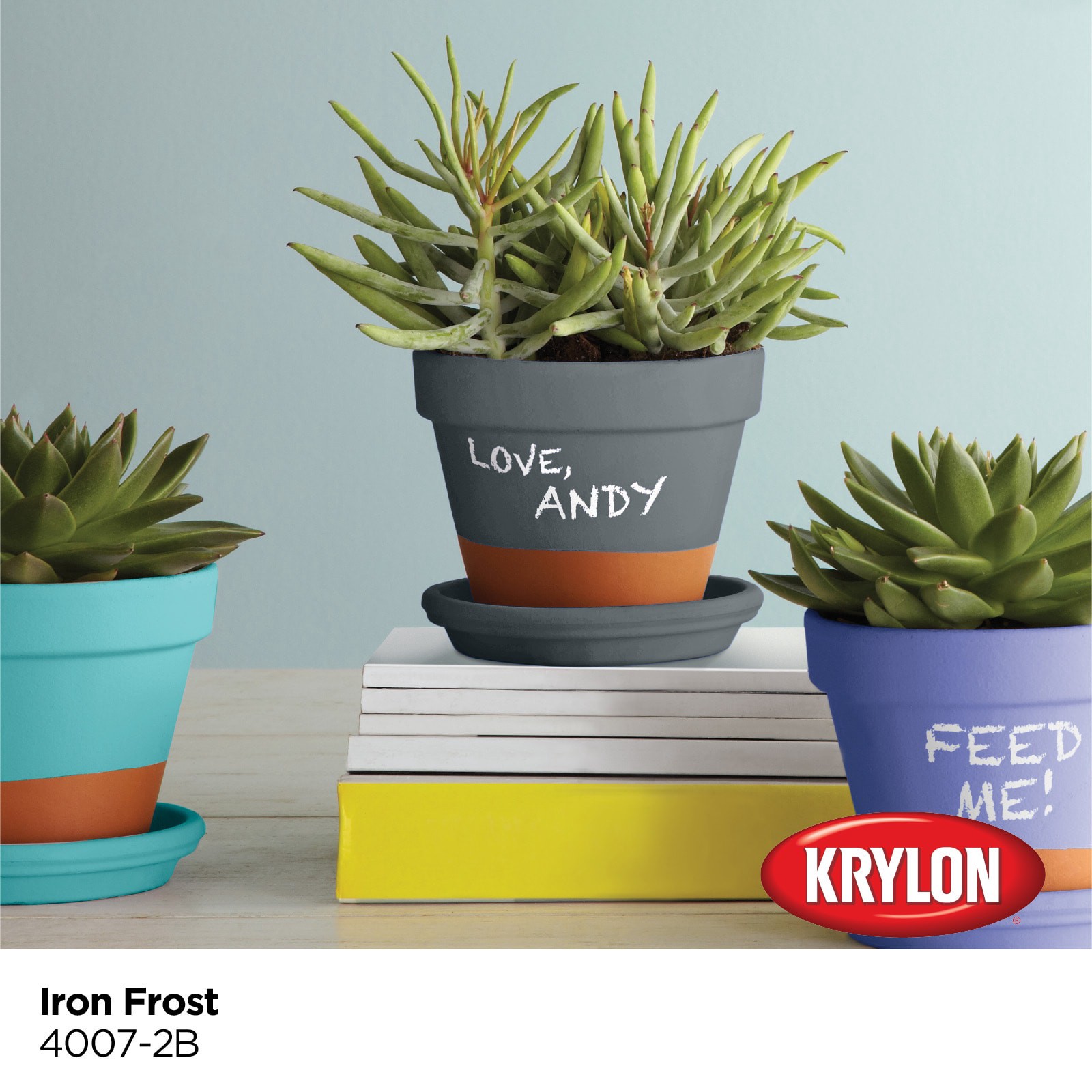 slide 2 of 6, Krylon Latex Iron Frost 4007-2B Chalkboard Paint (1-quart), 1 ct