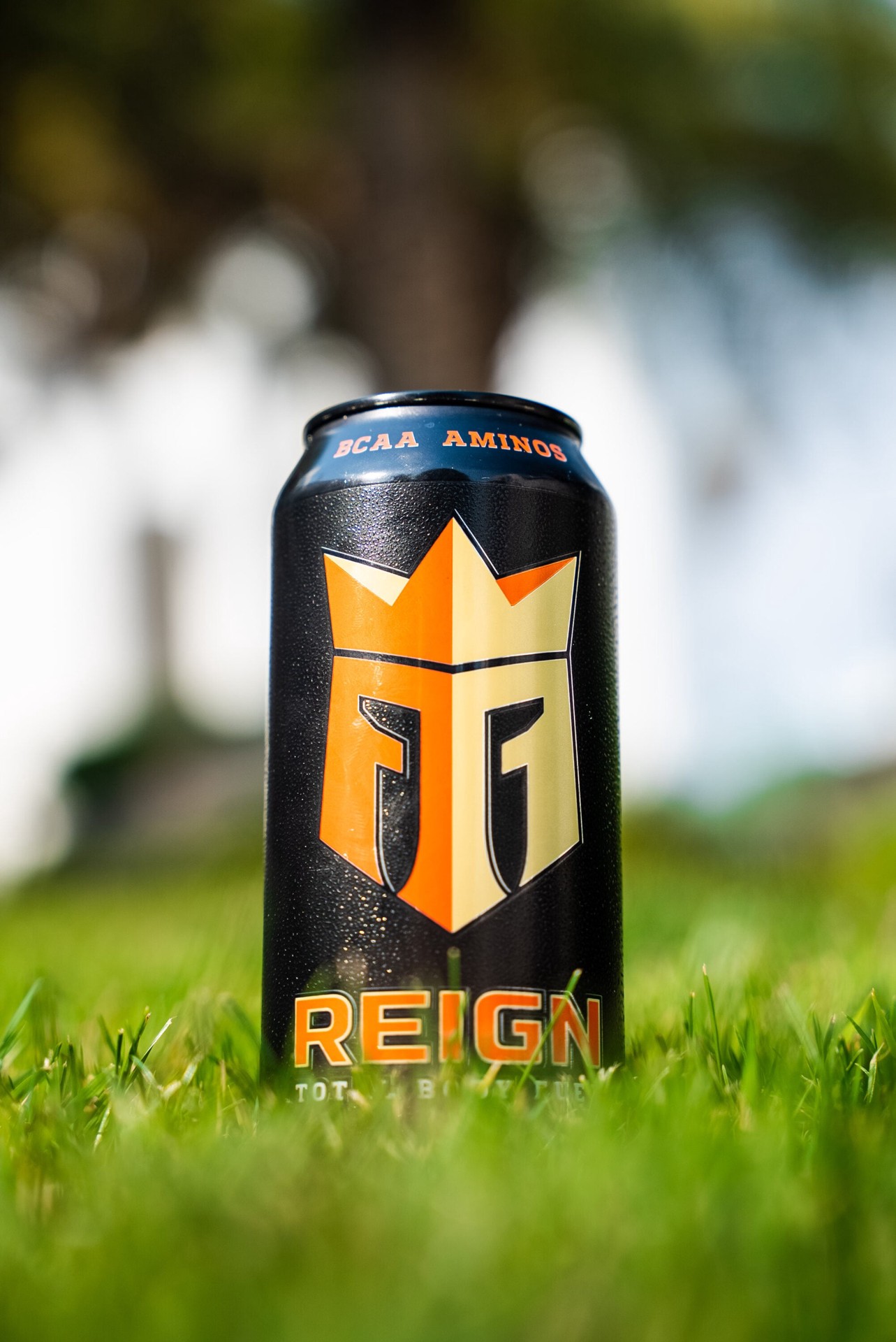 slide 5 of 5, REIGN 16 - fl oz Dreamsicle Energy Drink, 1 ct