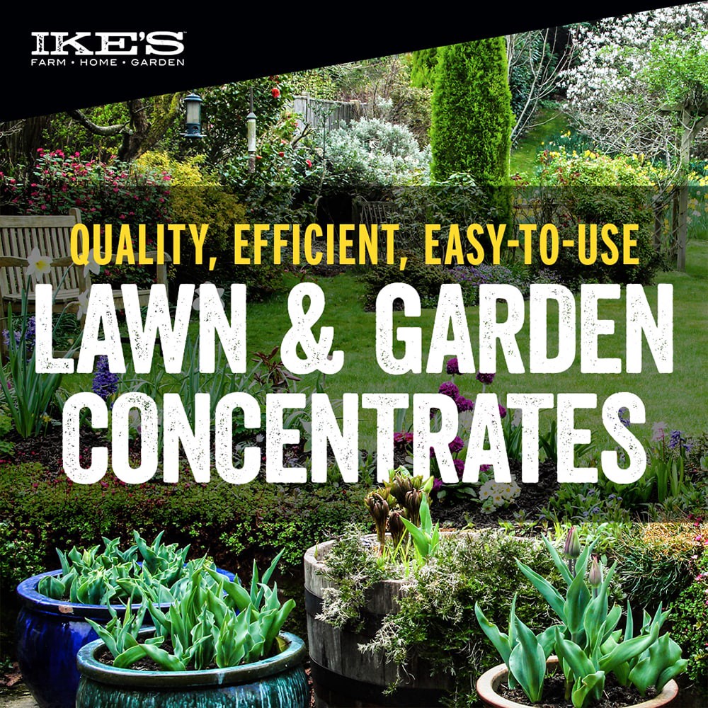 slide 5 of 6, IKE's 32 -fl oz Concentrate Lawn Weed Killer, 1 ct