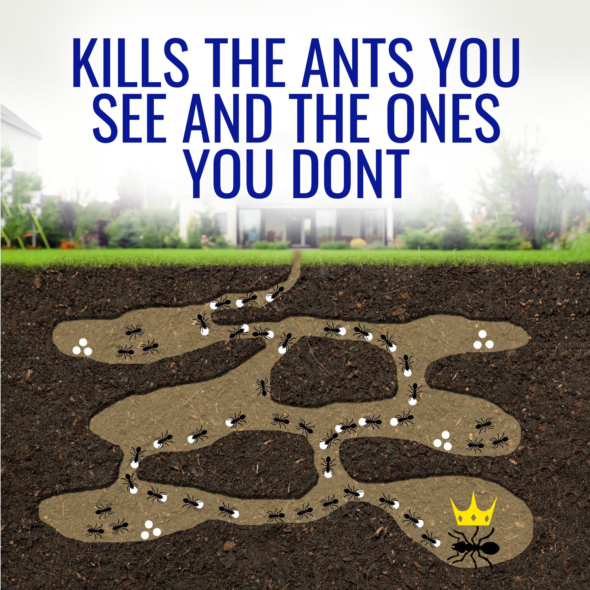 slide 4 of 6, TERRO 1 -fl oz Ant killer, 1 ct