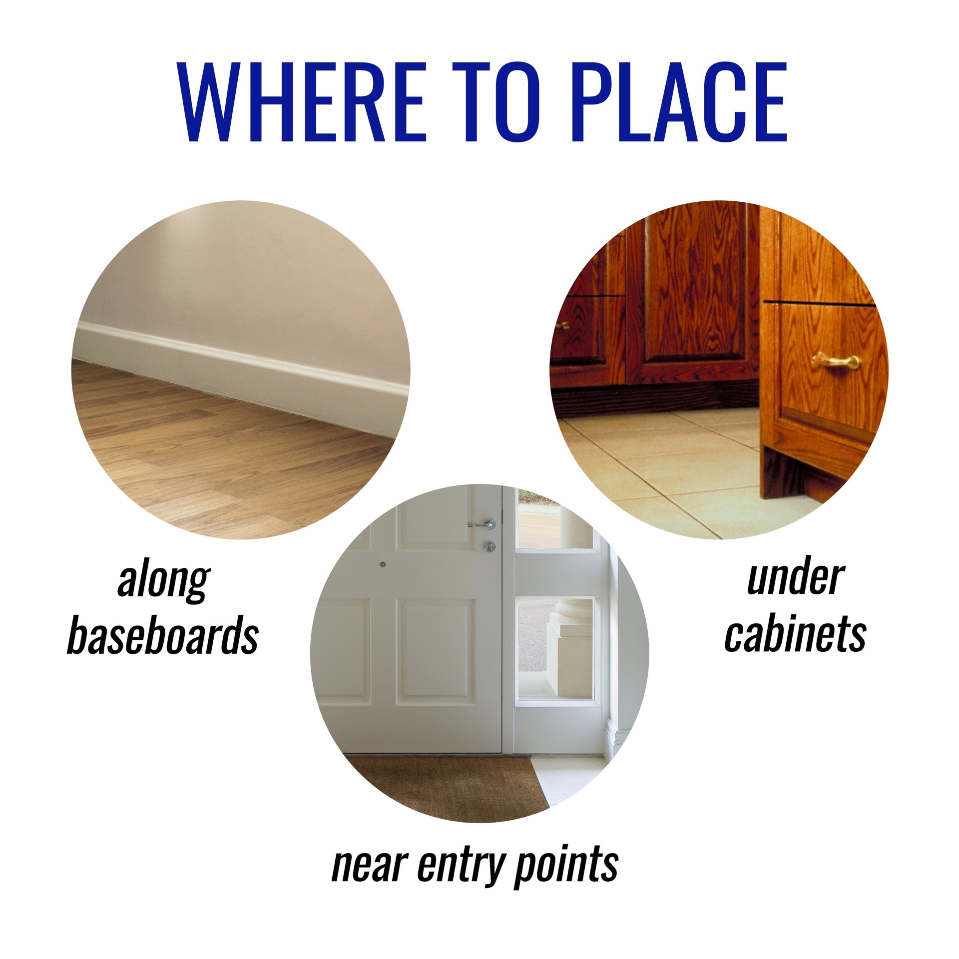 slide 5 of 6, TERRO 1 -fl oz Ant killer, 1 ct