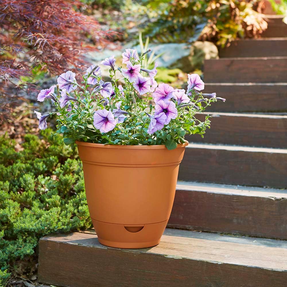 slide 3 of 6, Garden Treasures Round 14.0-in W x 14.0-in L Orange Plastic Indoor/Outdoor Self Watering Planter, 1 ct