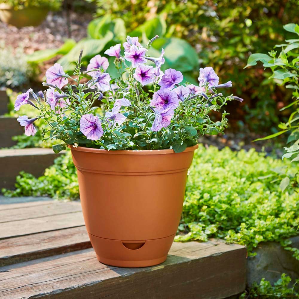 slide 4 of 6, Garden Treasures Round 14.0-in W x 14.0-in L Orange Plastic Indoor/Outdoor Self Watering Planter, 1 ct