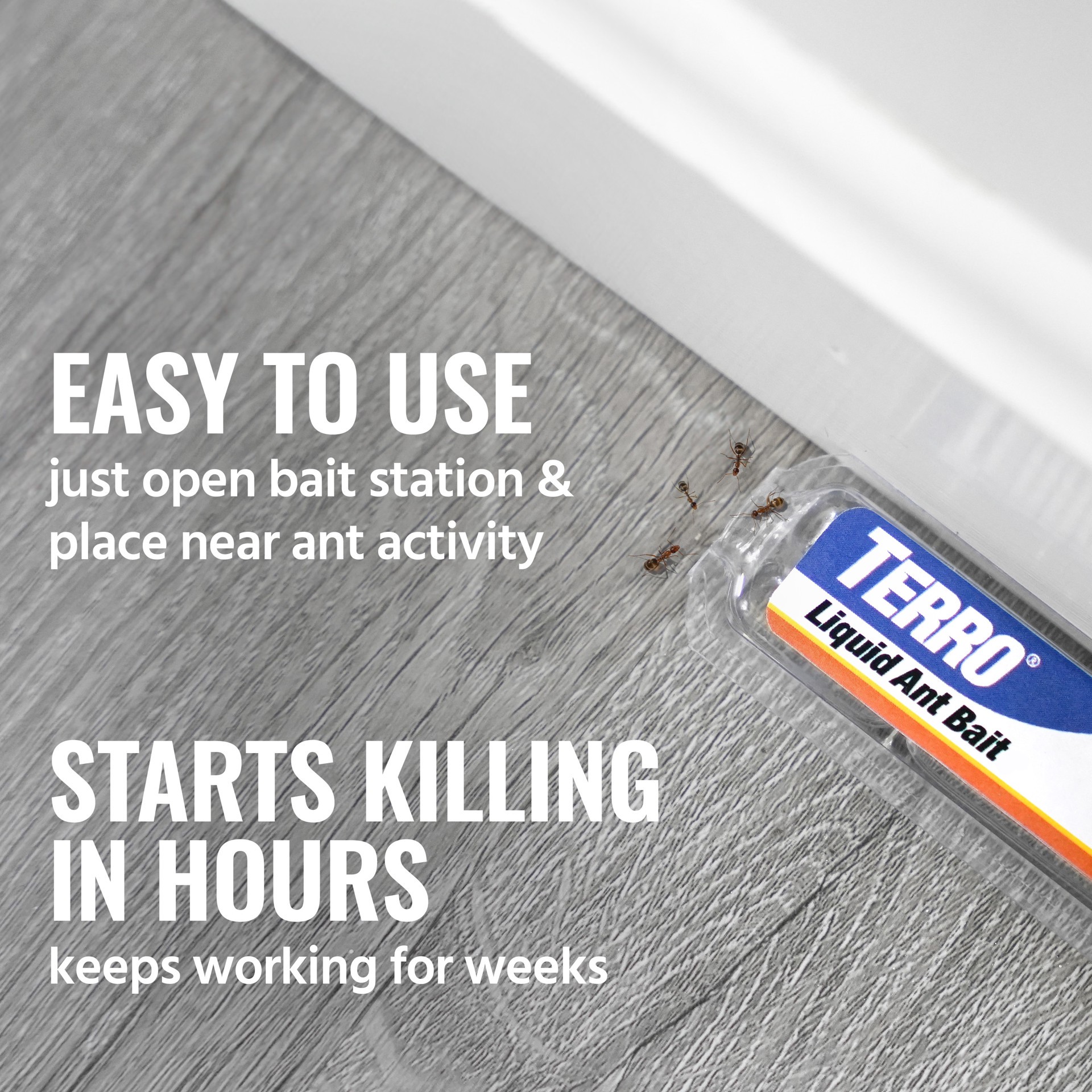 slide 4 of 6, TERRO Ant Killer Liquid 1 -fl oz Ant bait station 6 -Pack, 1 ct