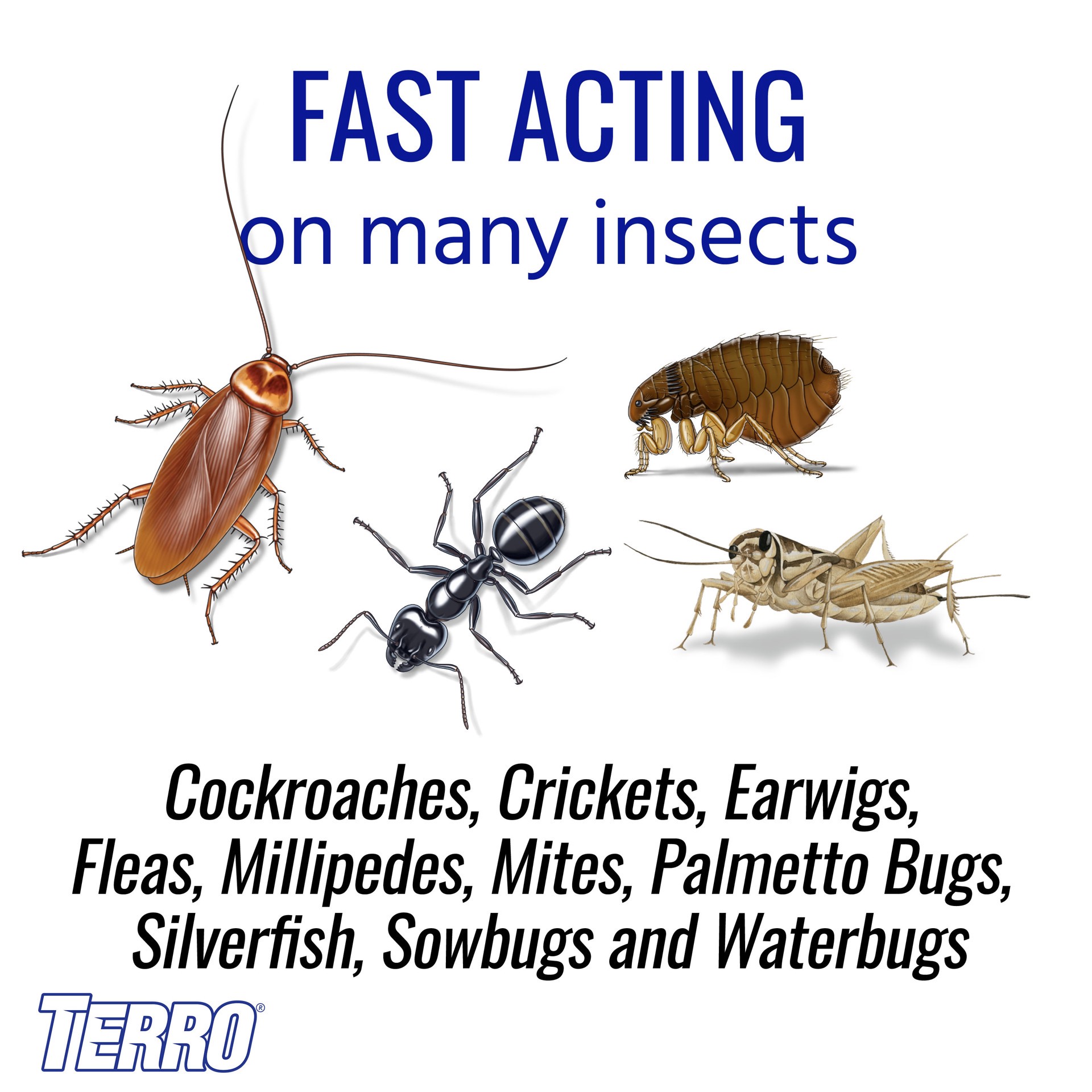 slide 6 of 6, TERRO 3 -lb Ant killer, 1 ct