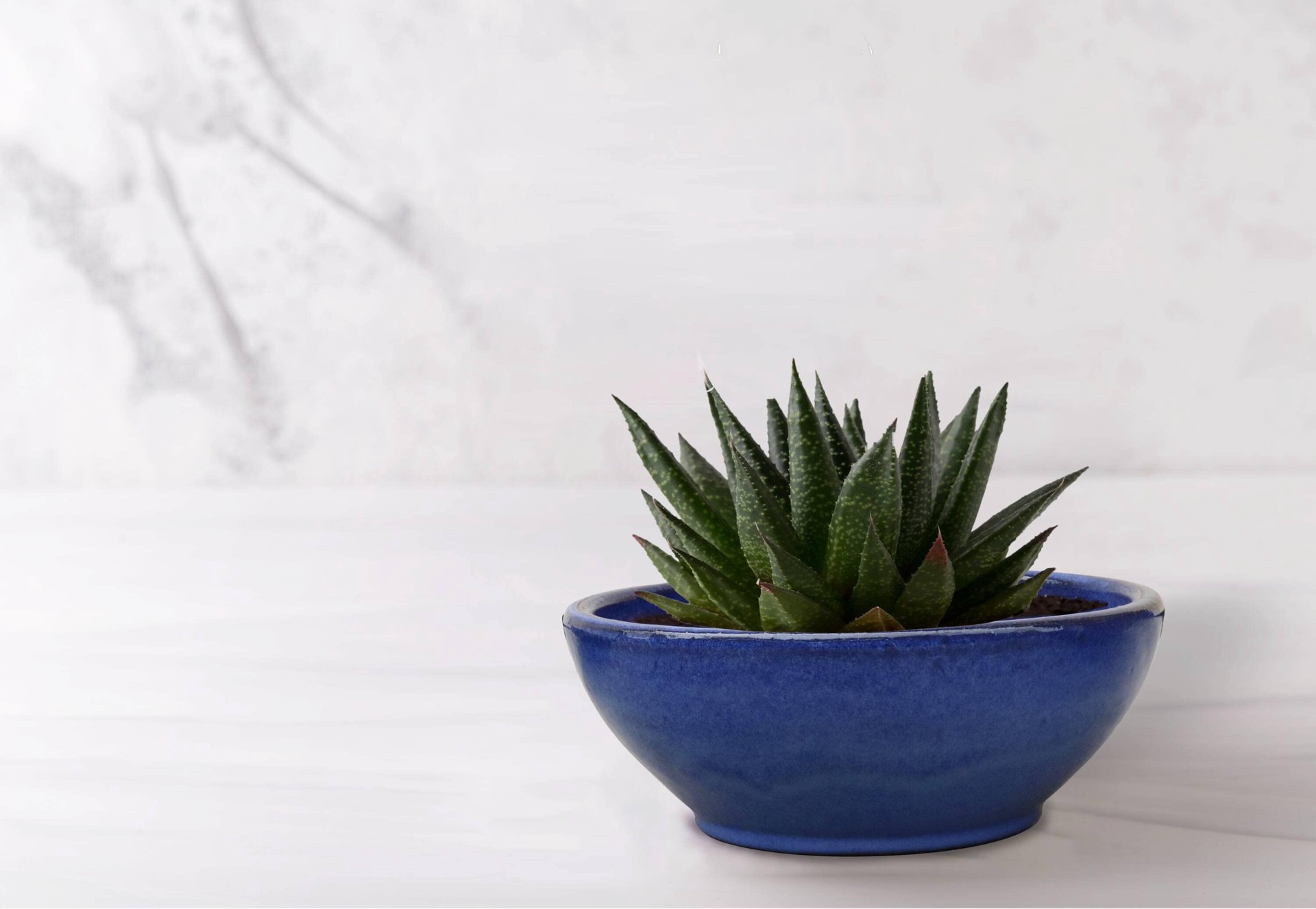 slide 3 of 4, allen + roth Round 13.0-in W x 13.0-in L Blue Ceramic Indoor/Outdoor Low bowl planter, 1 ct