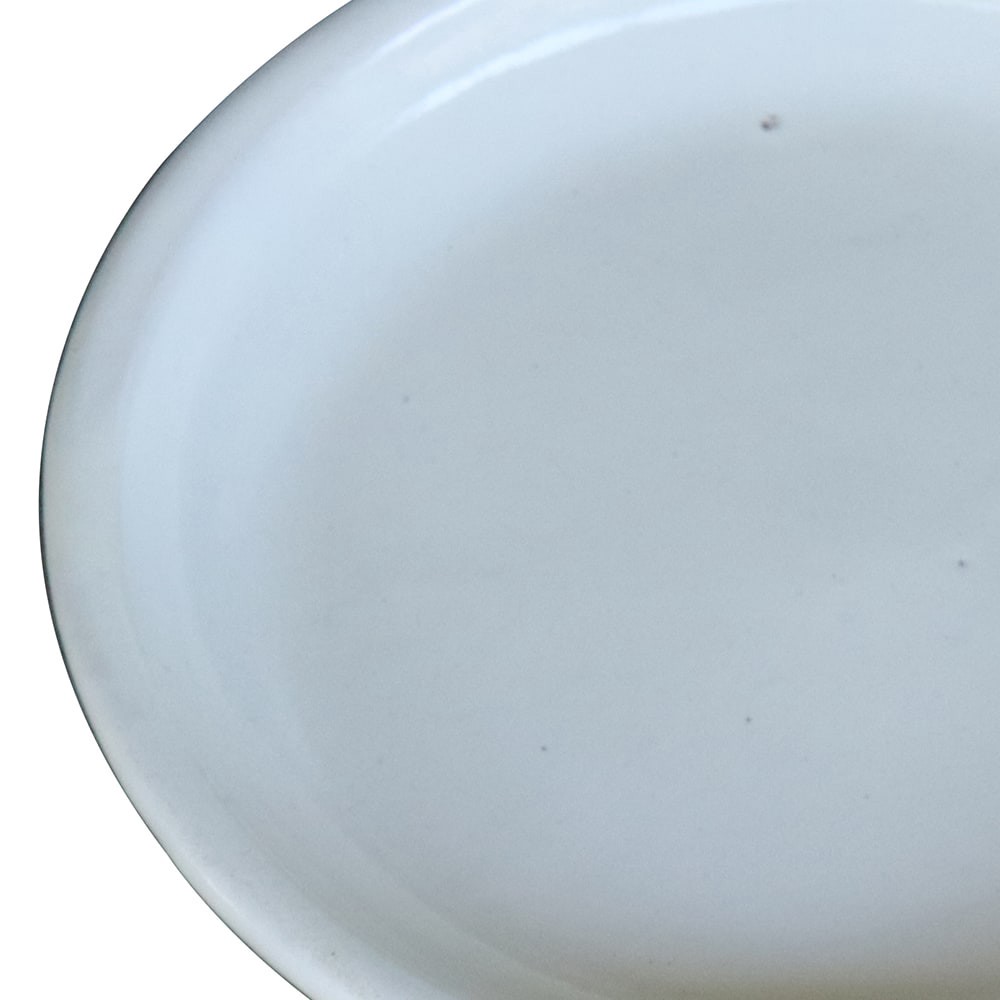 slide 2 of 4, allen + roth 11.6-in White Ceramic Plant Saucer, 1 ct