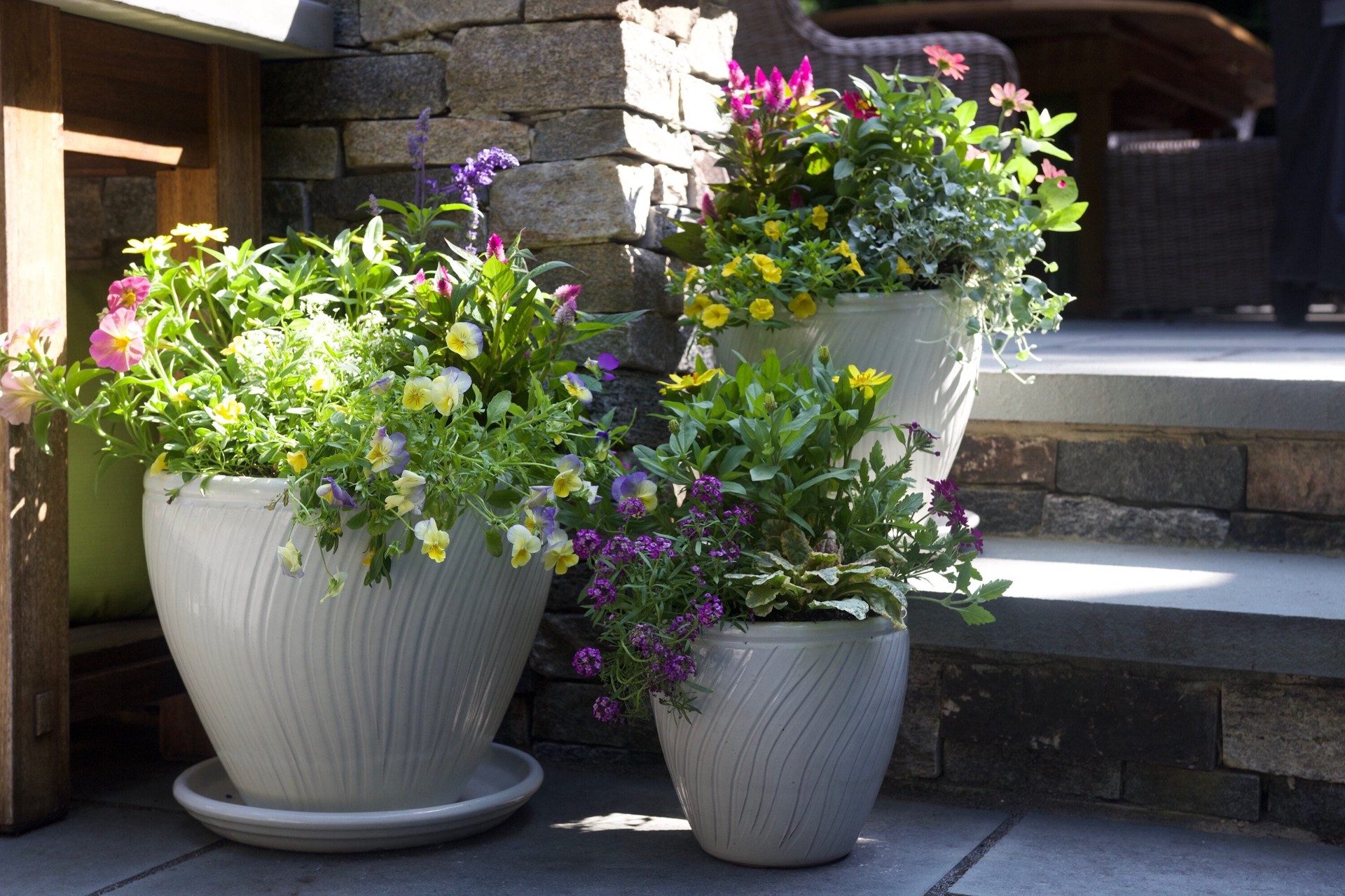 slide 4 of 4, allen + roth 11.6-in White Ceramic Plant Saucer, 1 ct