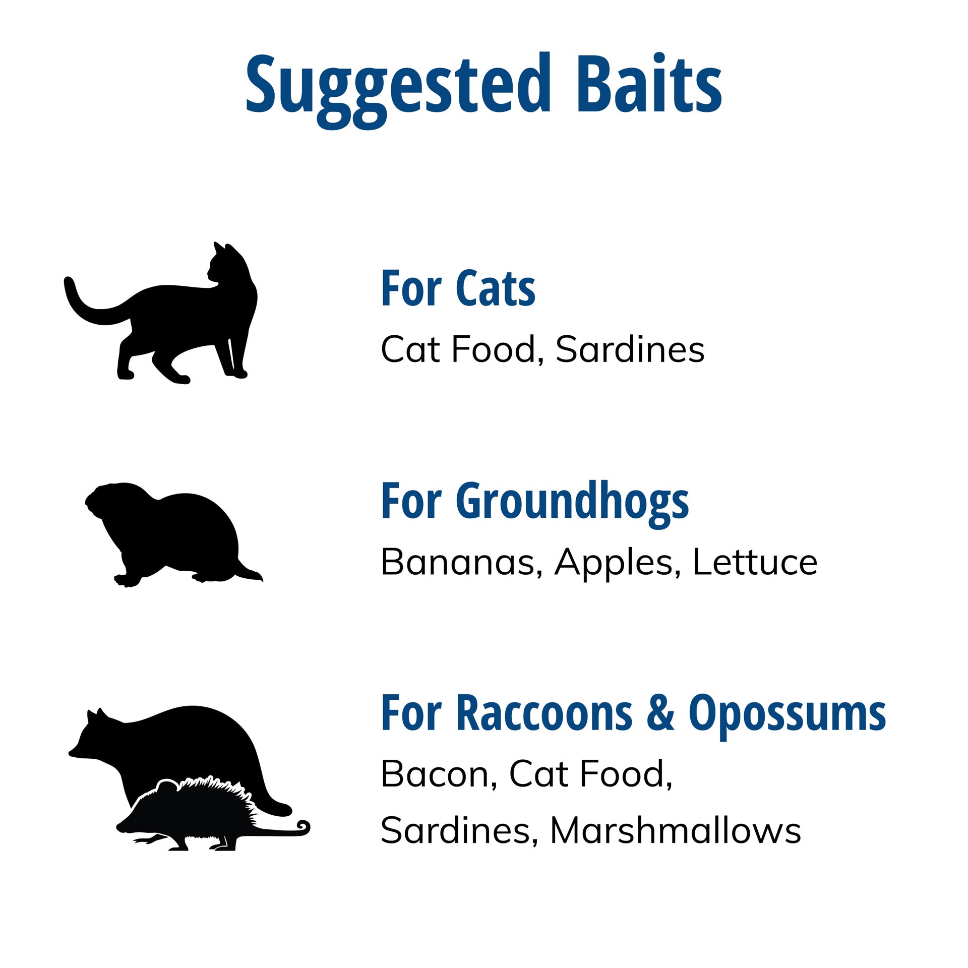 slide 6 of 6, Havahart Rodent Traps, 1 ct