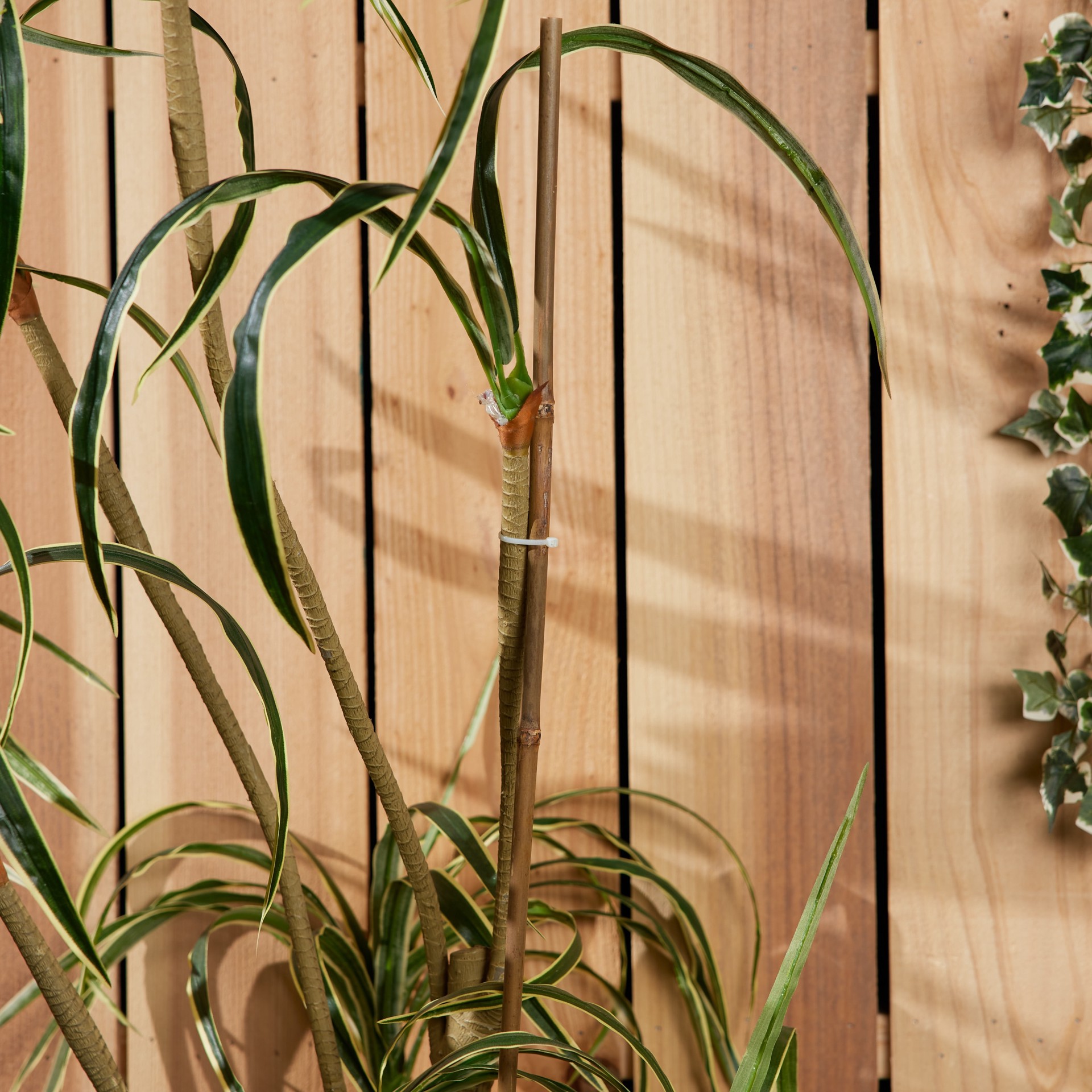 slide 5 of 6, 6 -Pack 48-in Bamboo Plant Support Landscape Stake, 1 ct