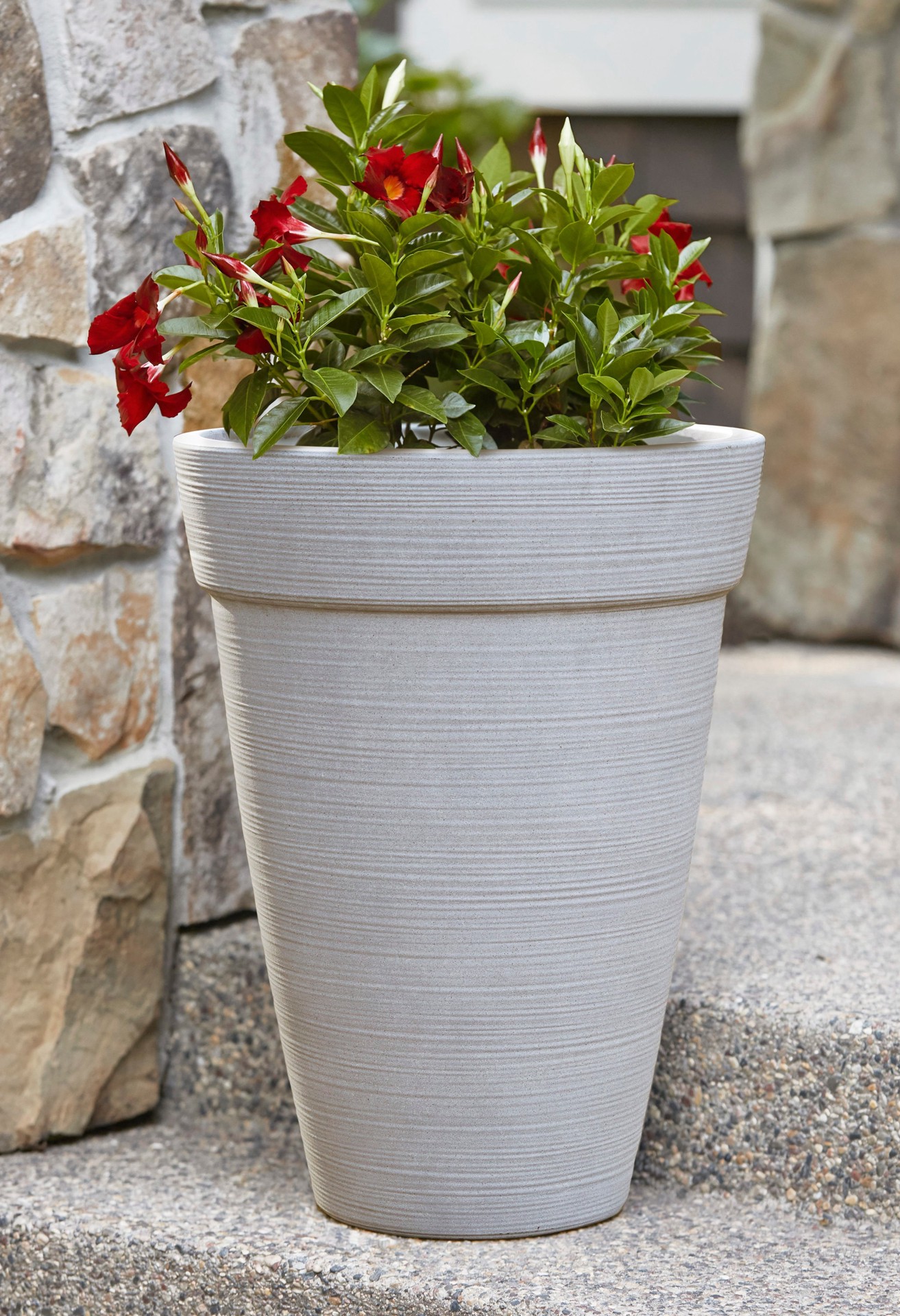 slide 6 of 6, allen + roth Round 15.79-in W x 15.79-in L White Resin Indoor/Outdoor Planter, 1 ct