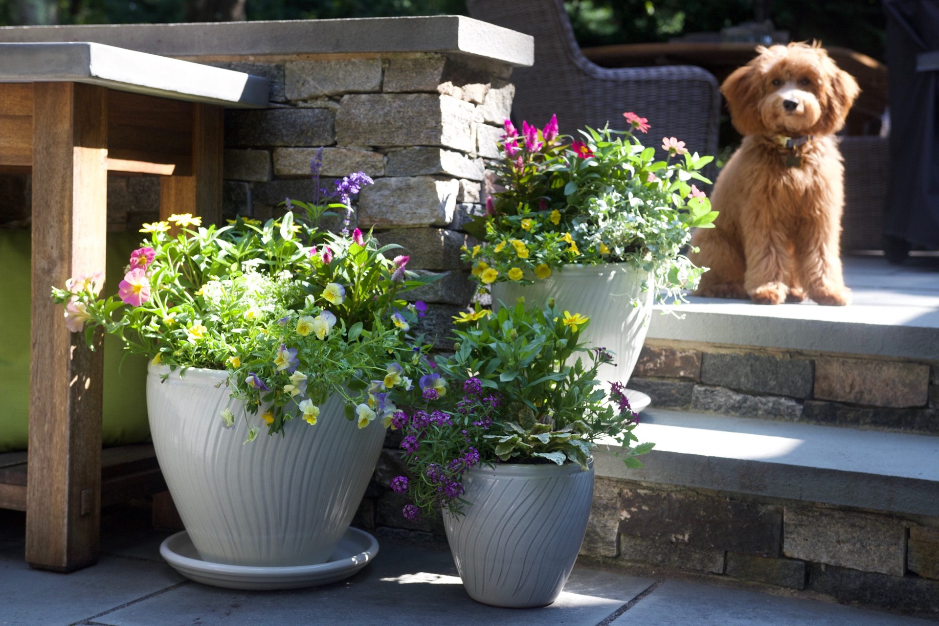 slide 2 of 5, allen + roth Round 7.5-in W x 7.5-in L White Ceramic Outdoor Planter, 1 ct
