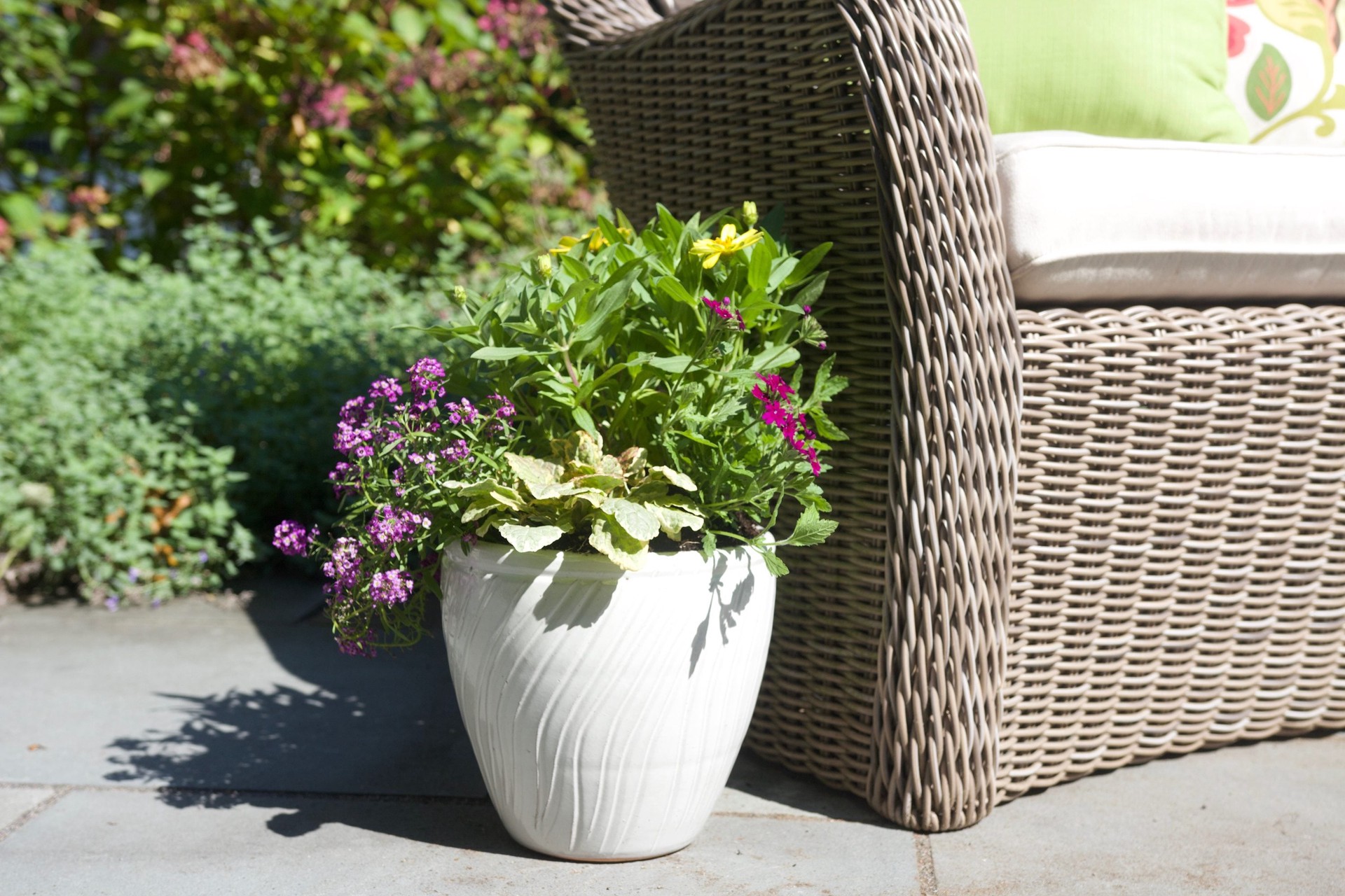slide 4 of 5, allen + roth Round 7.5-in W x 7.5-in L White Ceramic Outdoor Planter, 1 ct