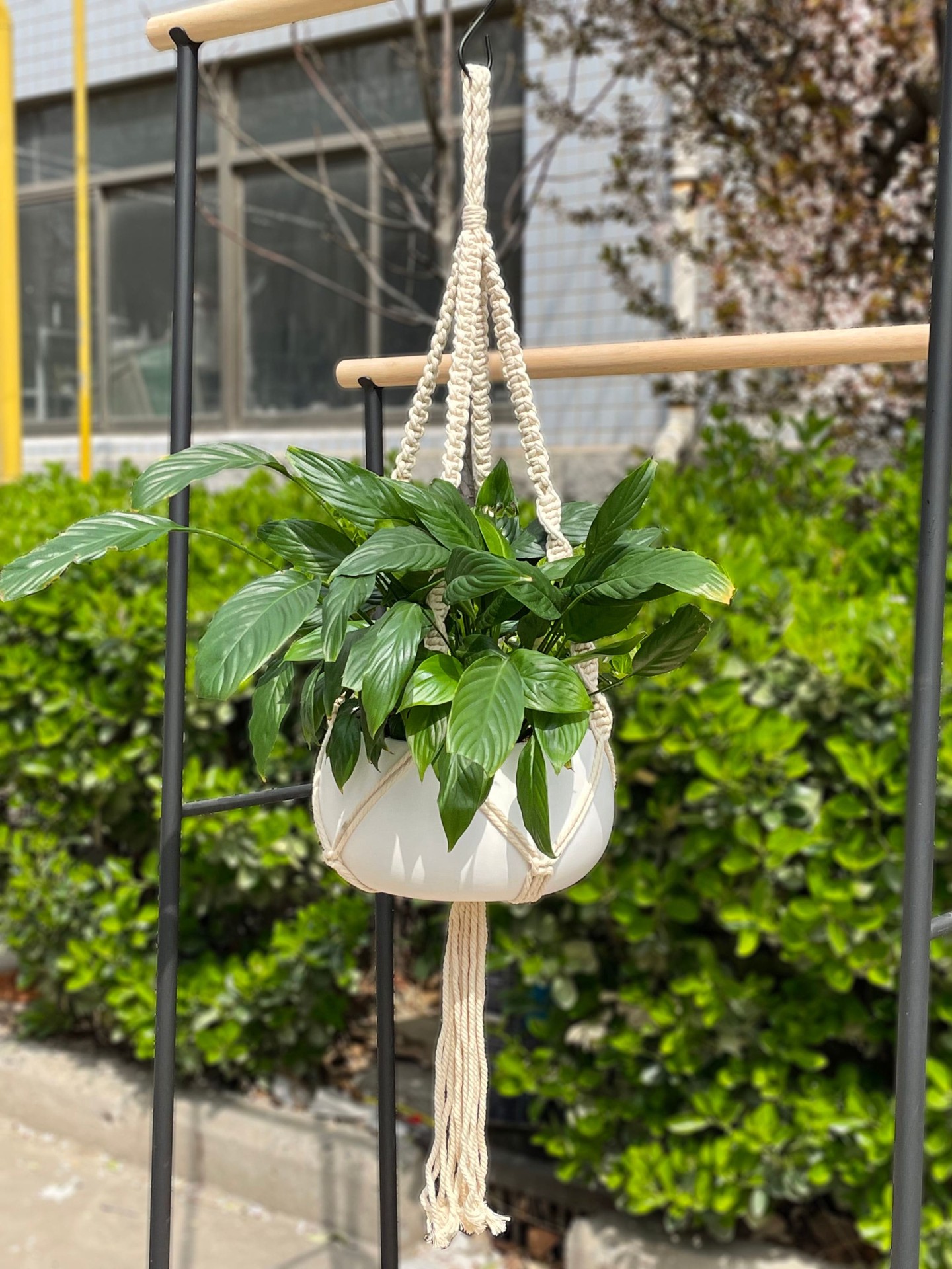 slide 3 of 5, allen + roth 43-in White Macrame Plant hook(s), 1 ct