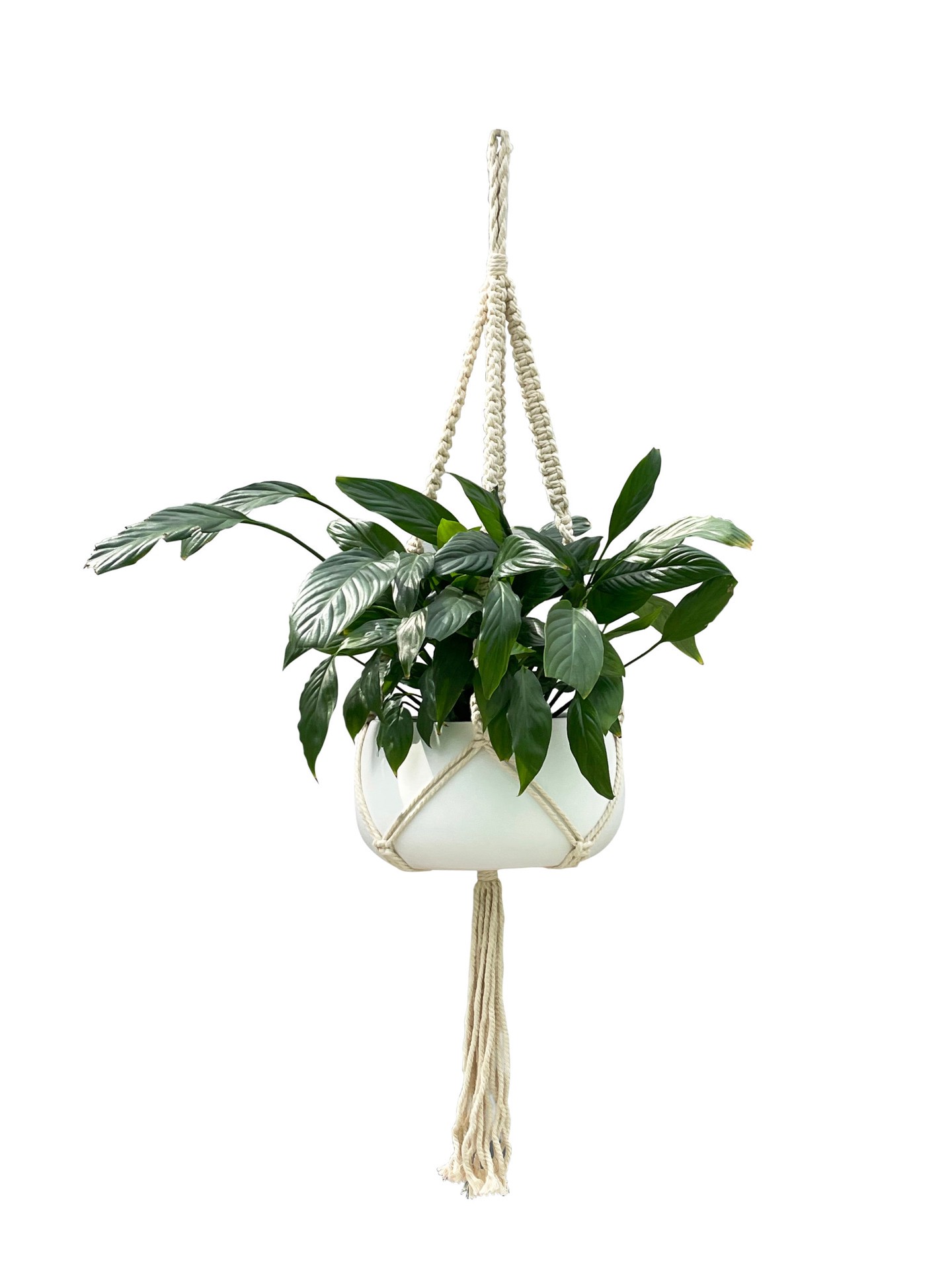 slide 1 of 5, allen + roth 43-in White Macrame Plant hook(s), 1 ct