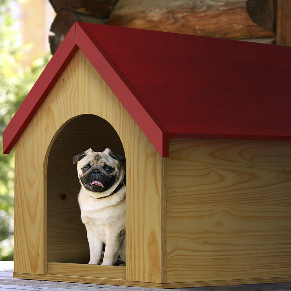 slide 2 of 6, 15/32-in x 4-ft x 4-ft Pine Sanded Plywood, 1 ct