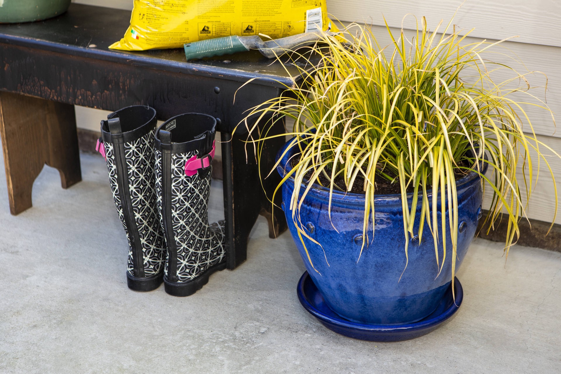 slide 6 of 6, allen + roth 7.6-in Blue Ceramic Plant Saucer, 1 ct