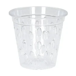allen + roth Cone 5.08-in W x 5.08-in L x 5.28-in H Clear Resin Indoor/Outdoor Orchid pot