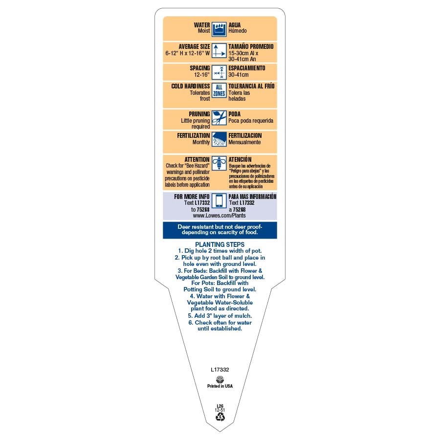slide 3 of 6, Lowe's Multicolor Primrose in 2 Gallon(s) Planter 1 -Pack, 1 ct