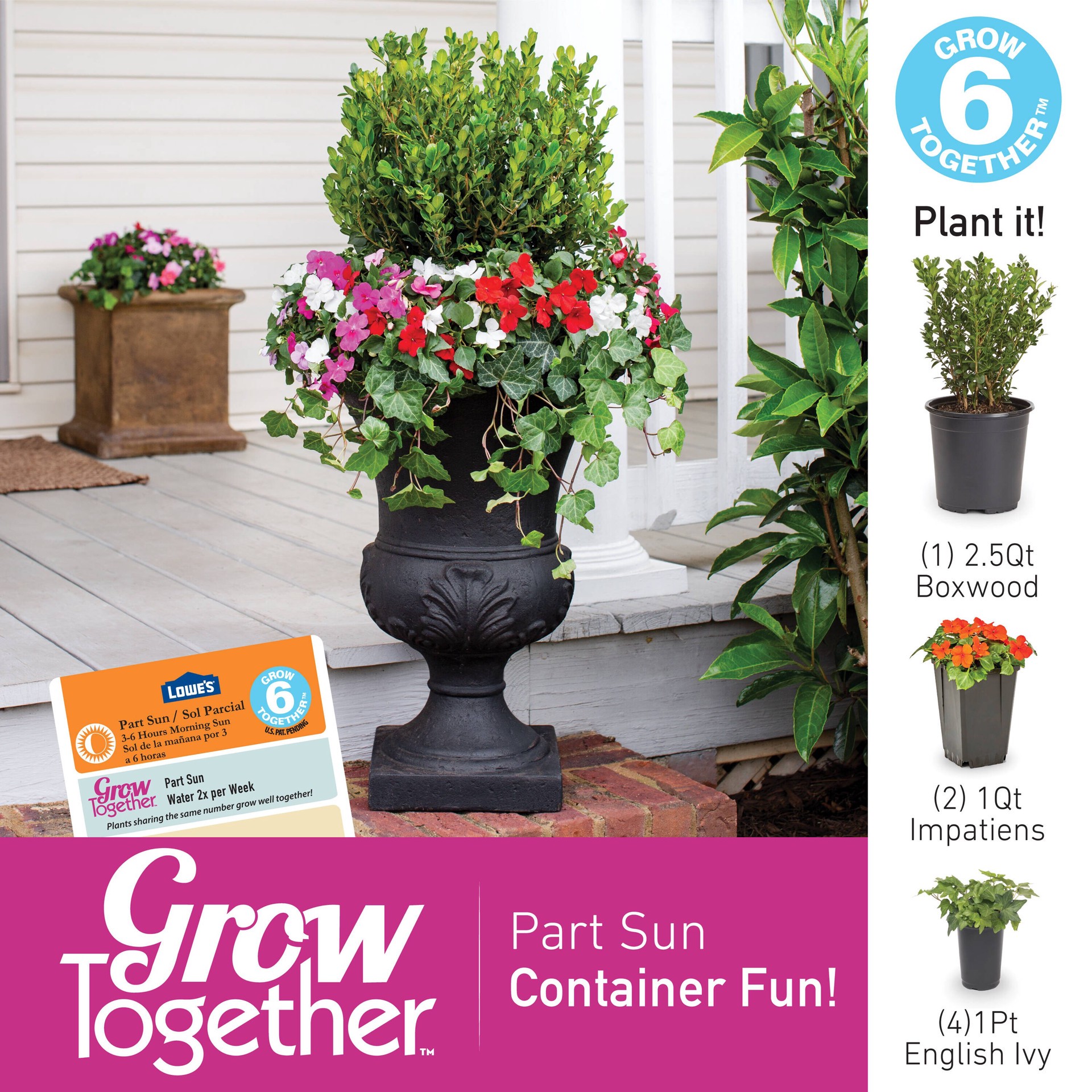 slide 4 of 6, Lowe's Multicolor Impatiens Pot, 1 ct