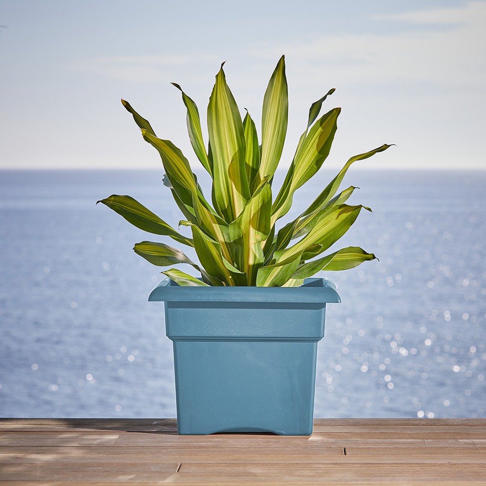 slide 2 of 5, Bloem Square 18-in W x 18-in L Blue Recycled plastic Indoor/Outdoor Deck box planter, 1 ct