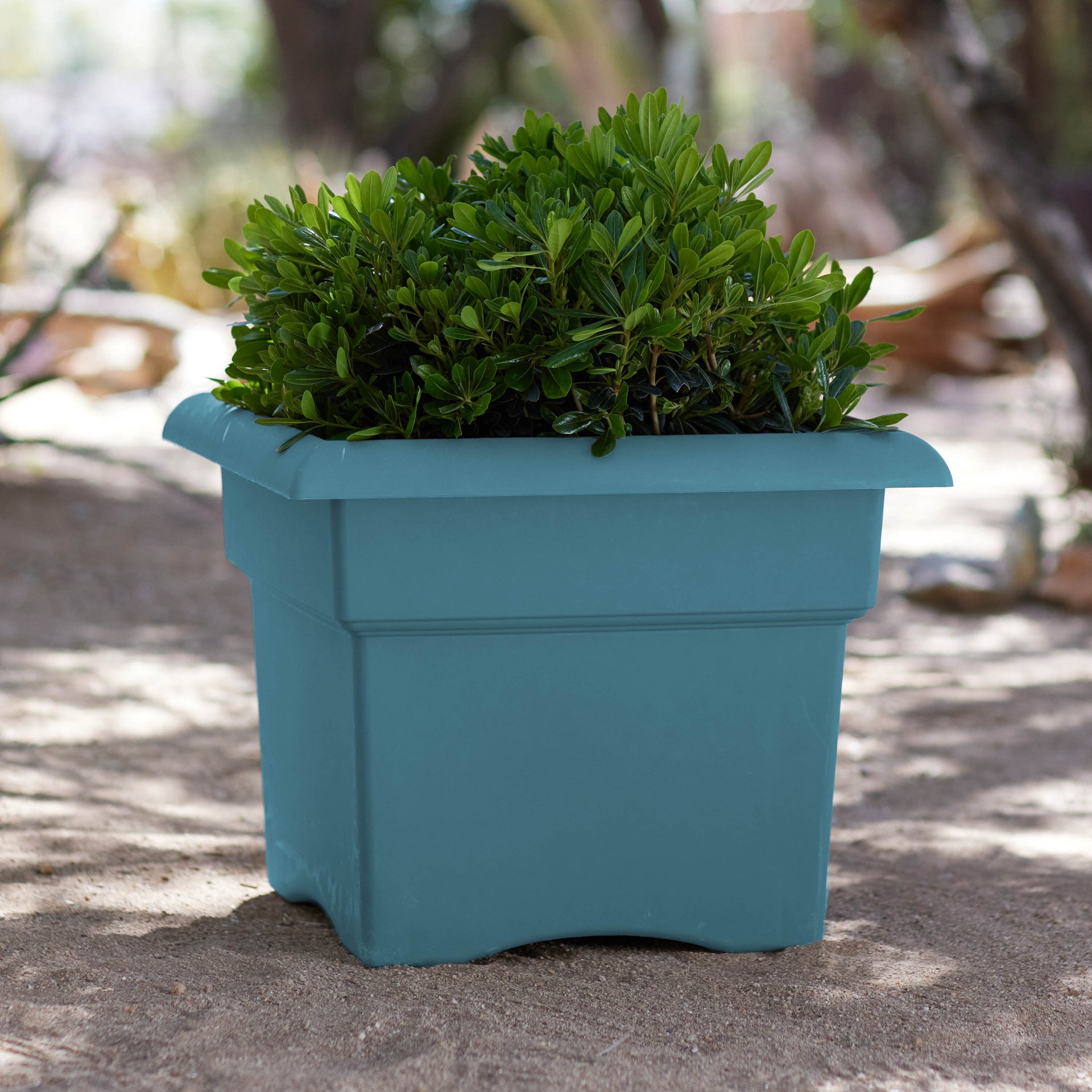 slide 3 of 5, Bloem Square 18-in W x 18-in L Blue Recycled plastic Indoor/Outdoor Deck box planter, 1 ct