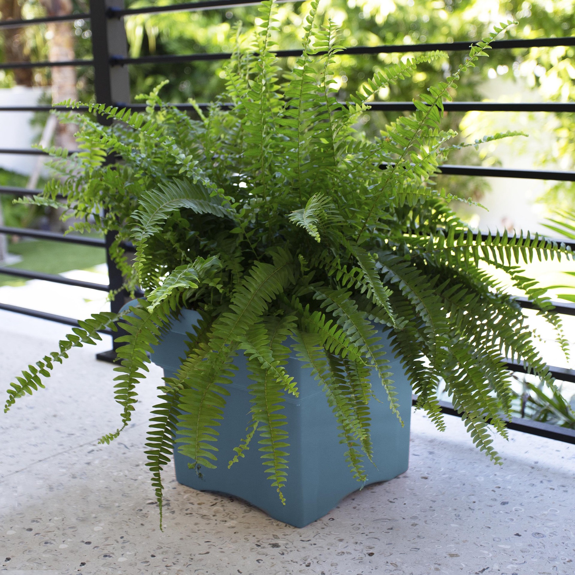 slide 4 of 5, Bloem Square 18-in W x 18-in L Blue Recycled plastic Indoor/Outdoor Deck box planter, 1 ct