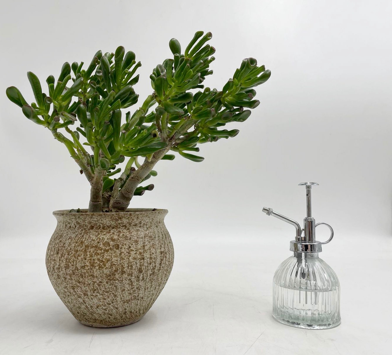 slide 2 of 6, allen + roth 0.05-Gallon Silver and transparent Plastic Mister Watering Can, 1 ct