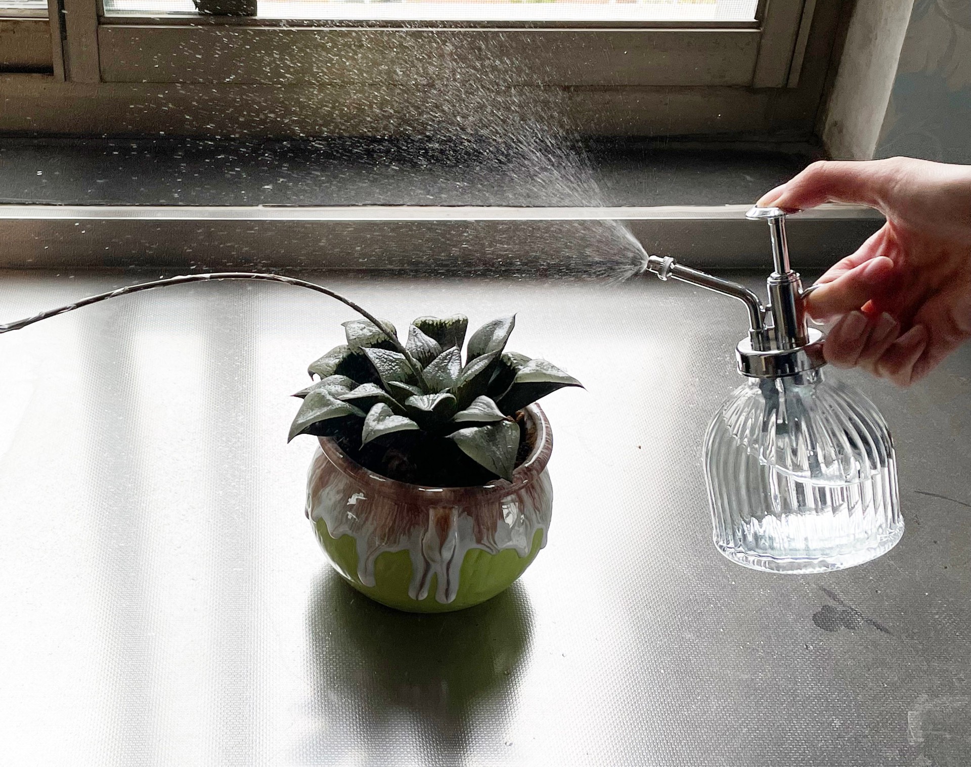 slide 3 of 6, allen + roth 0.05-Gallon Silver and transparent Plastic Mister Watering Can, 1 ct