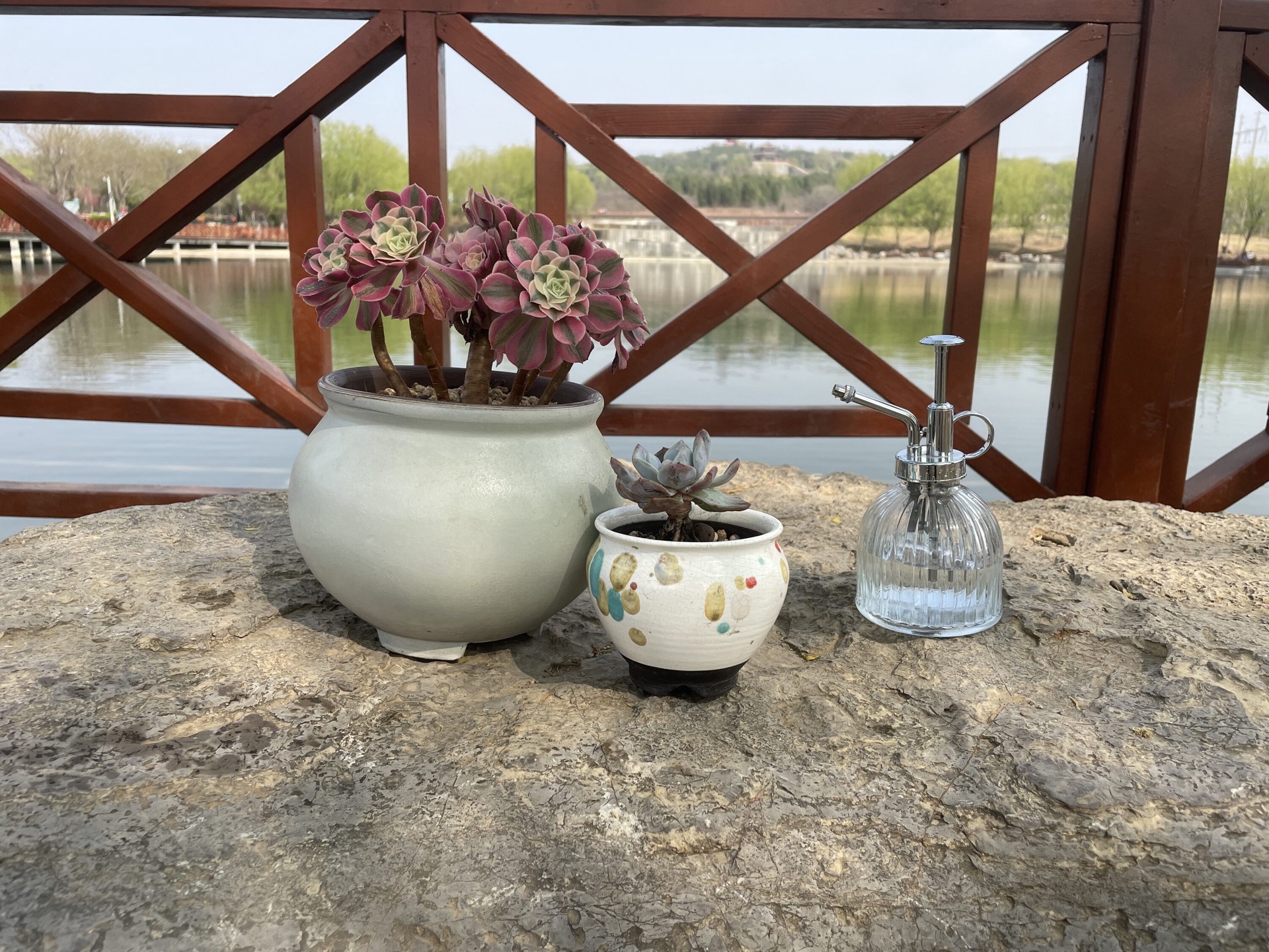 slide 5 of 6, allen + roth 0.05-Gallon Silver and transparent Plastic Mister Watering Can, 1 ct