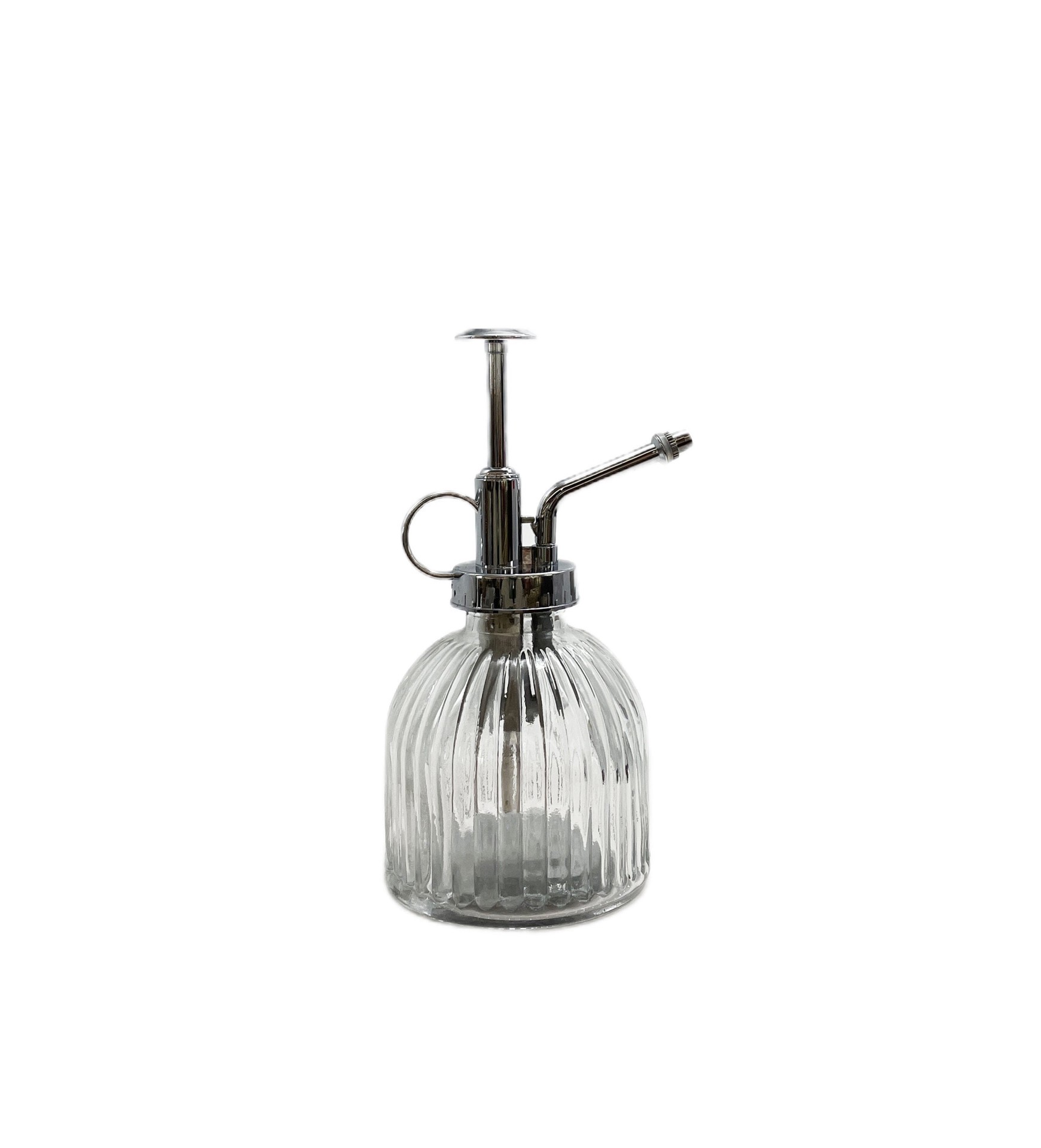 slide 6 of 6, allen + roth 0.05-Gallon Silver and transparent Plastic Mister Watering Can, 1 ct