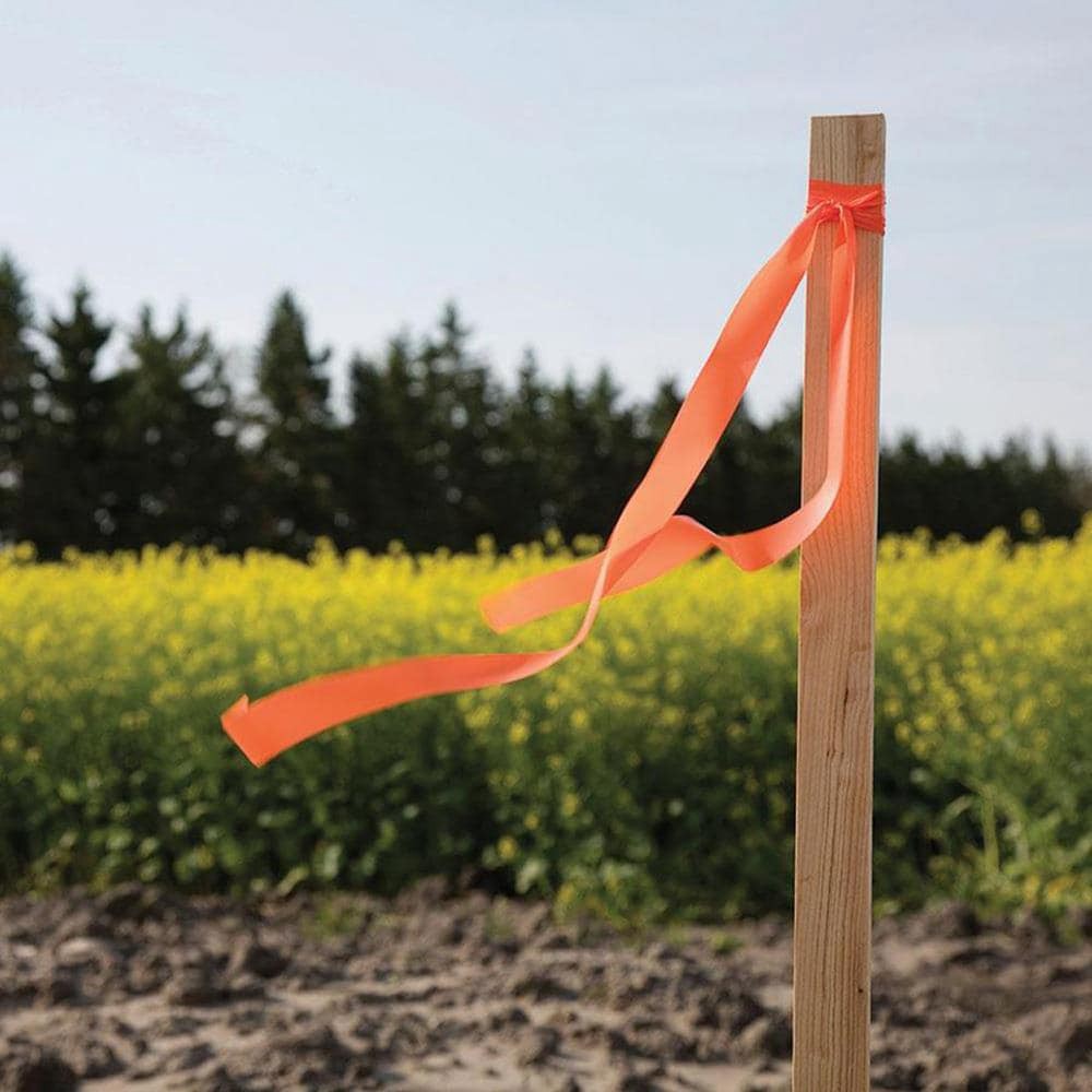 slide 6 of 6, 12 -Pack 36.0-in Wood Multipurpose Landscape Stake, 1 ct