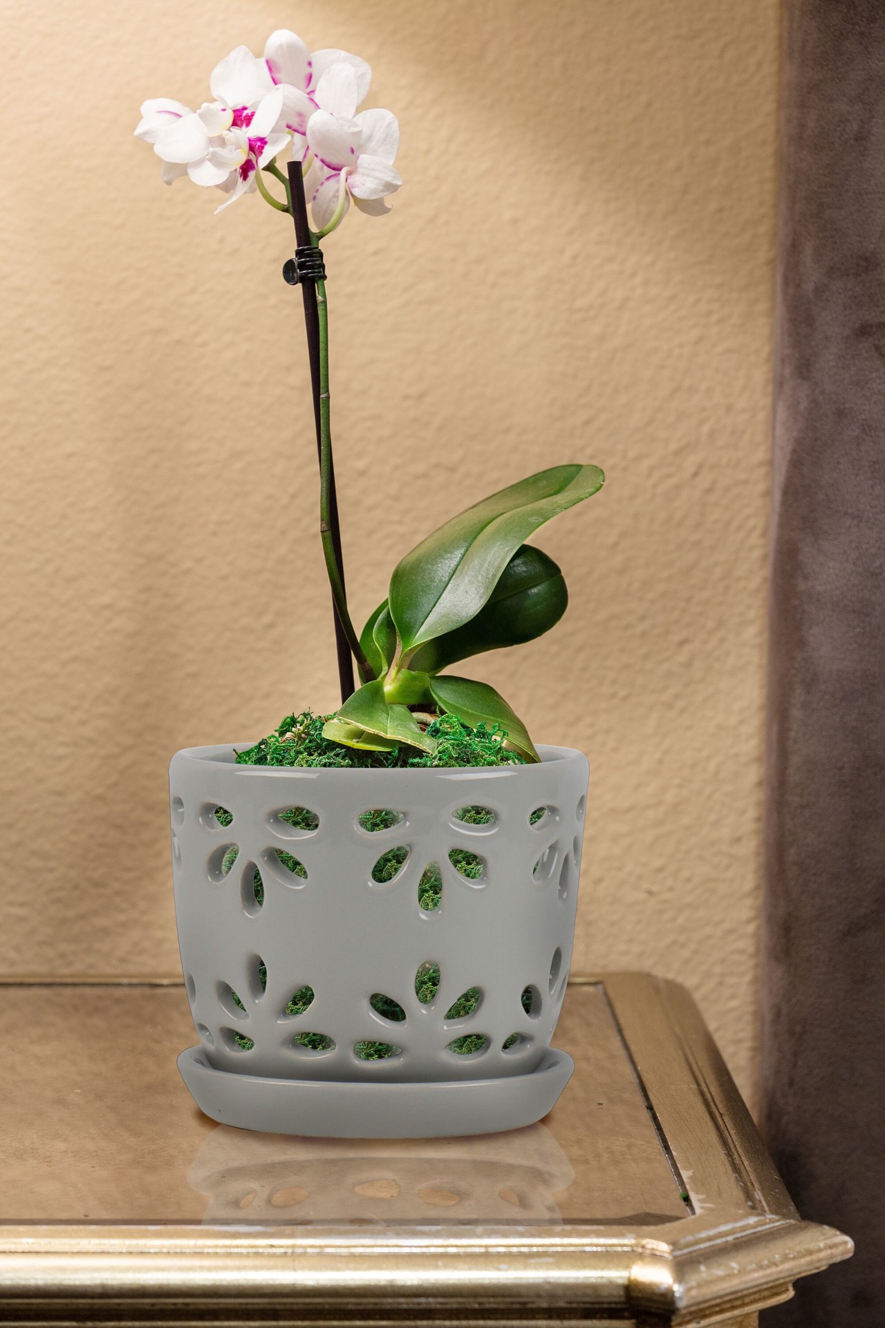 slide 4 of 6, allen + roth Round 6.02-in W x 6.02-in L Gray Ceramic Indoor Orchid basket, 1 ct