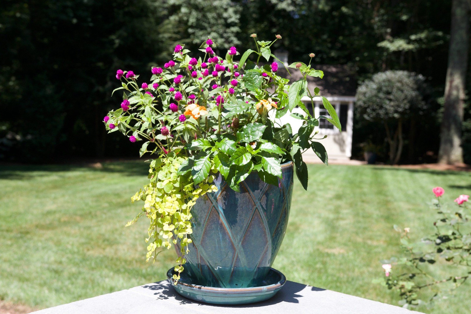 slide 3 of 4, allen + roth 11.6-in Green Ceramic Plant Saucer, 1 ct