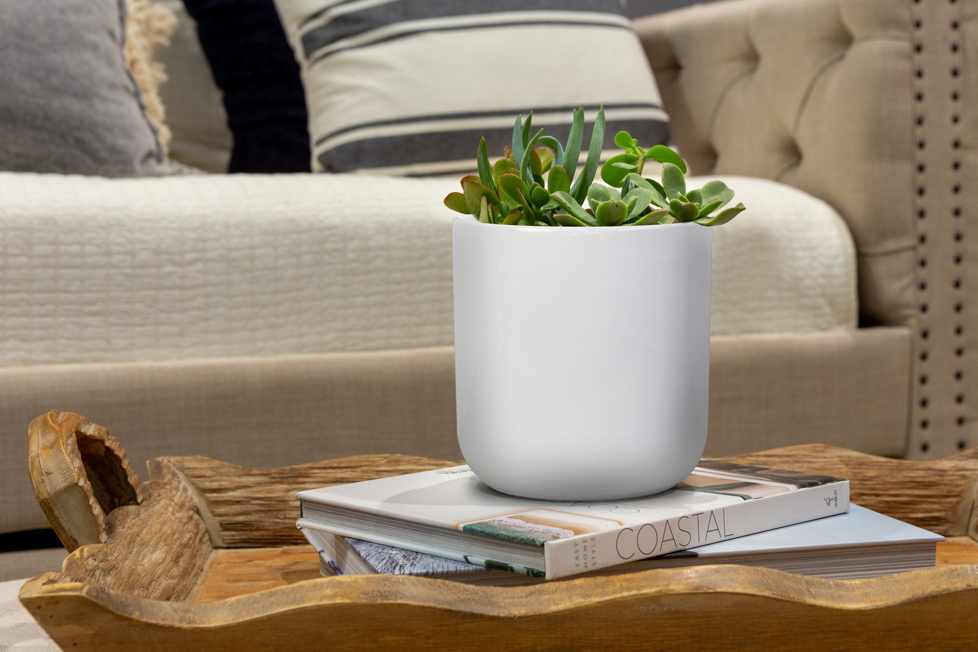 slide 6 of 6, allen + roth Round 6.7-in W x 6.7-in L White Ceramic Indoor Planter, 1 ct