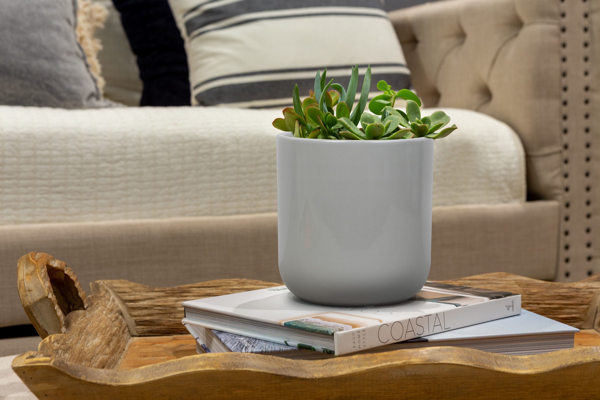 slide 6 of 6, allen + roth Round 6.7-in W x 6.7-in L Gray Ceramic Indoor Planter, 1 ct