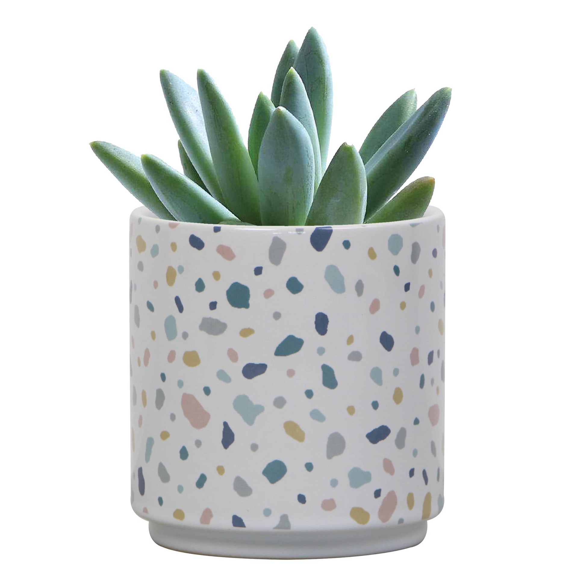 slide 3 of 6, allen + roth Round 4.14-in W x 4.14-in L White Ceramic Indoor Planter, 1 ct