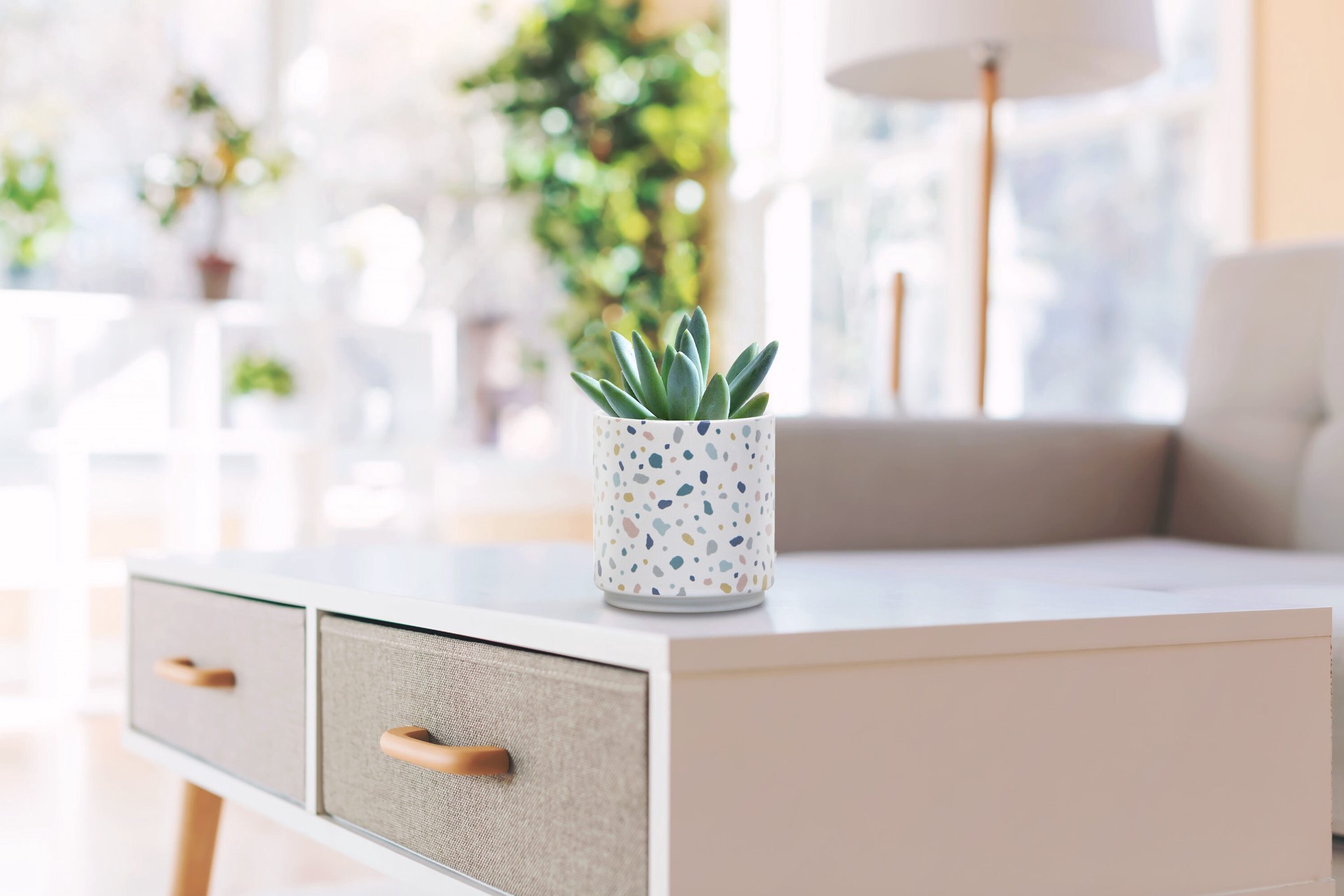 slide 6 of 6, allen + roth Round 4.14-in W x 4.14-in L White Ceramic Indoor Planter, 1 ct