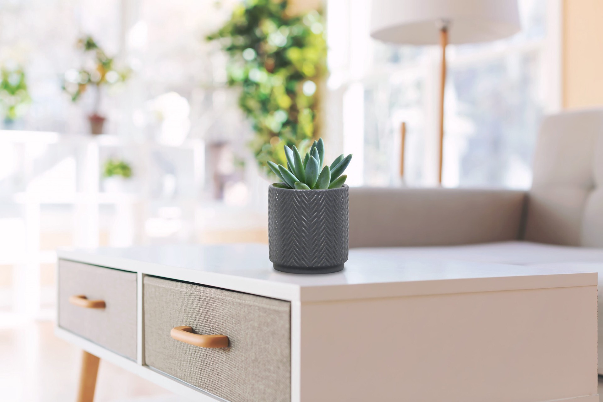 slide 6 of 6, allen + roth Round 5.0-in W x 5.0-in L Black Ceramic Indoor Planter, 1 ct