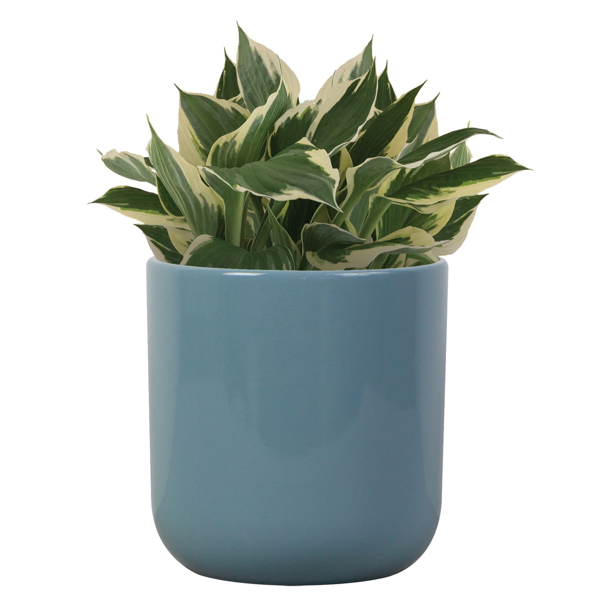 slide 3 of 6, allen + roth Round 5.12-in W x 5.12-in L Blue Ceramic Indoor Planter, 1 ct